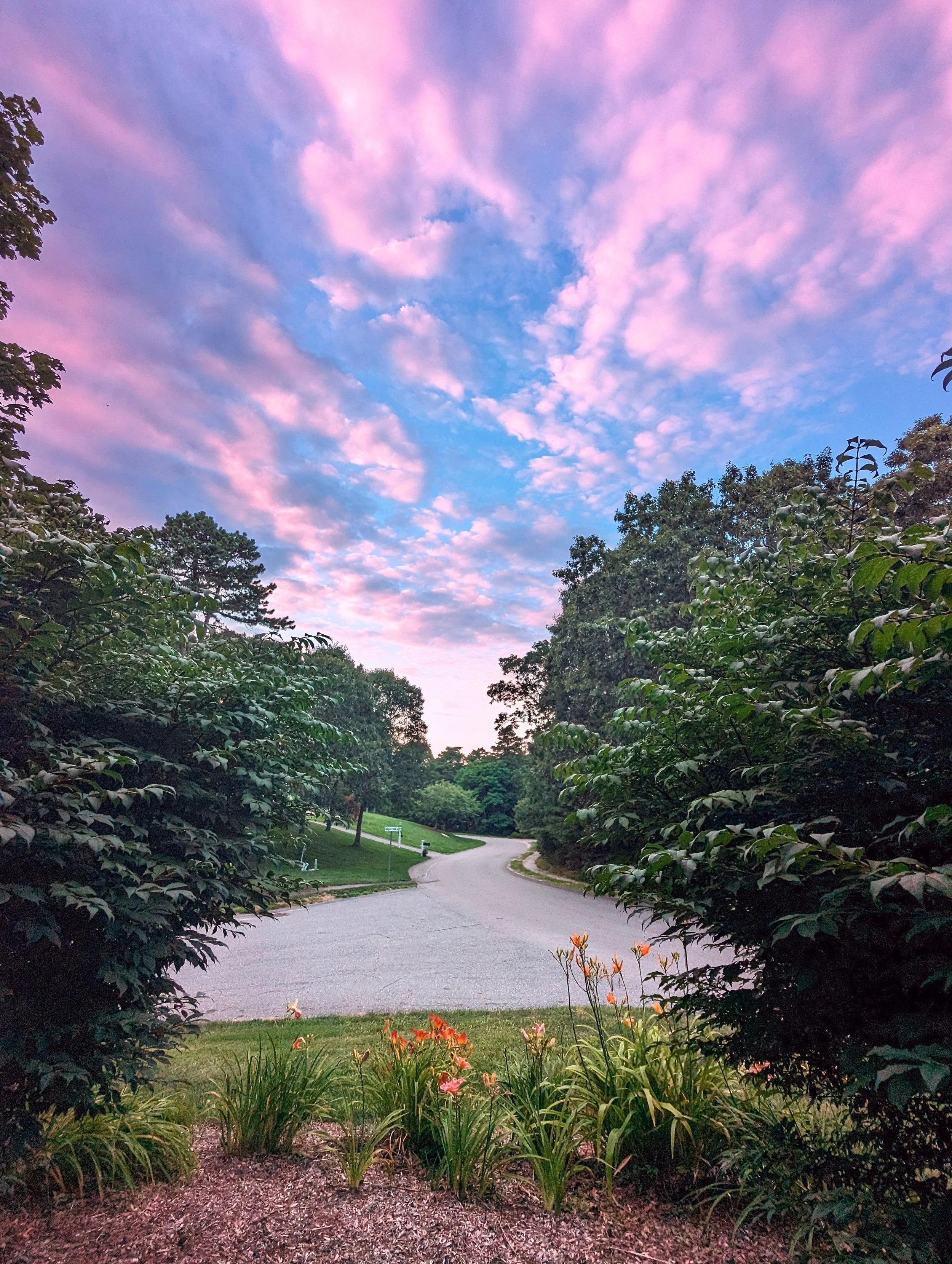 Killer Sunsets - Geoff Rhodes (95).jpg