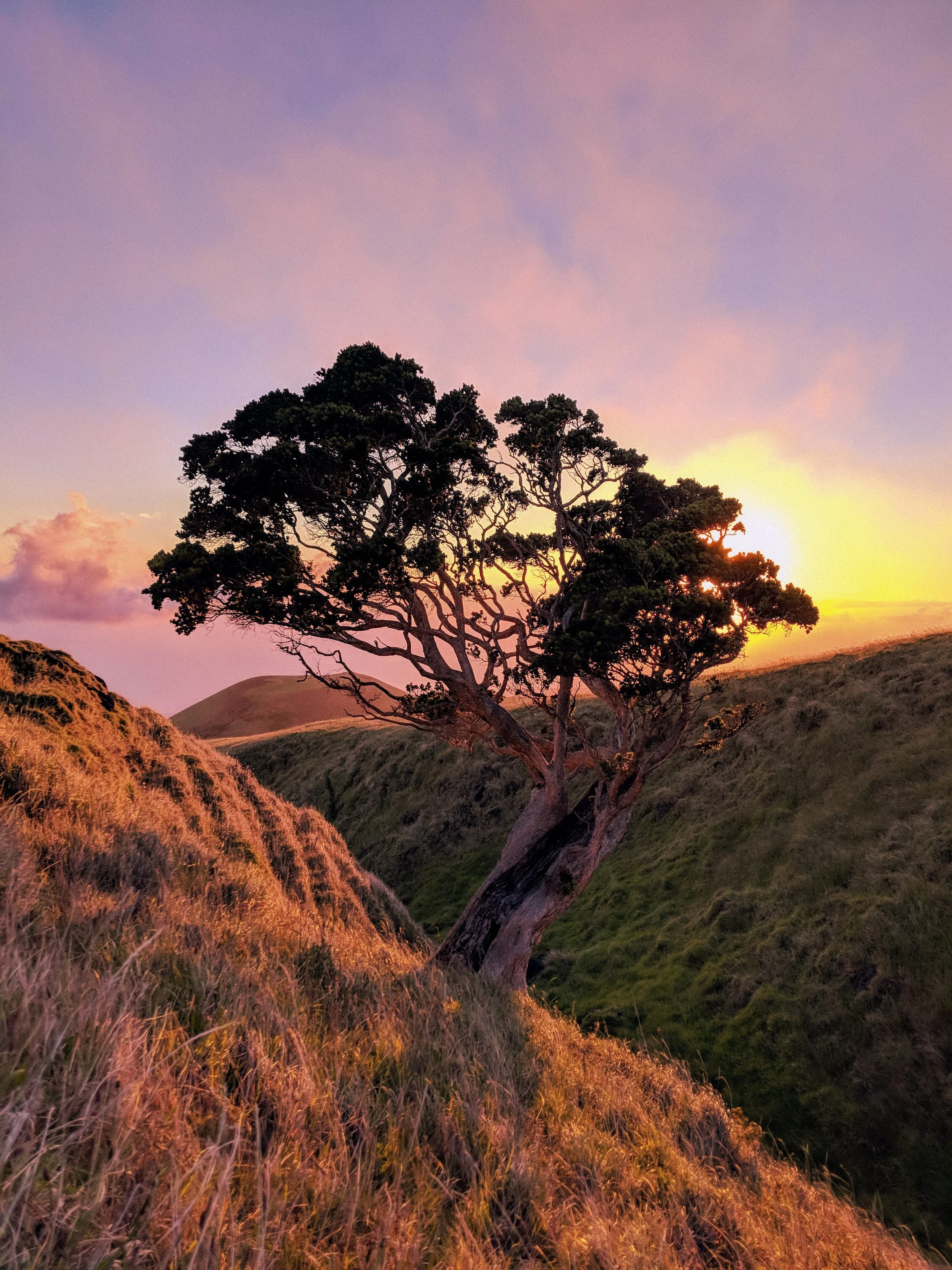 Hawaii - Geoff Rhodes - Ridgeline Creative (29).jpg