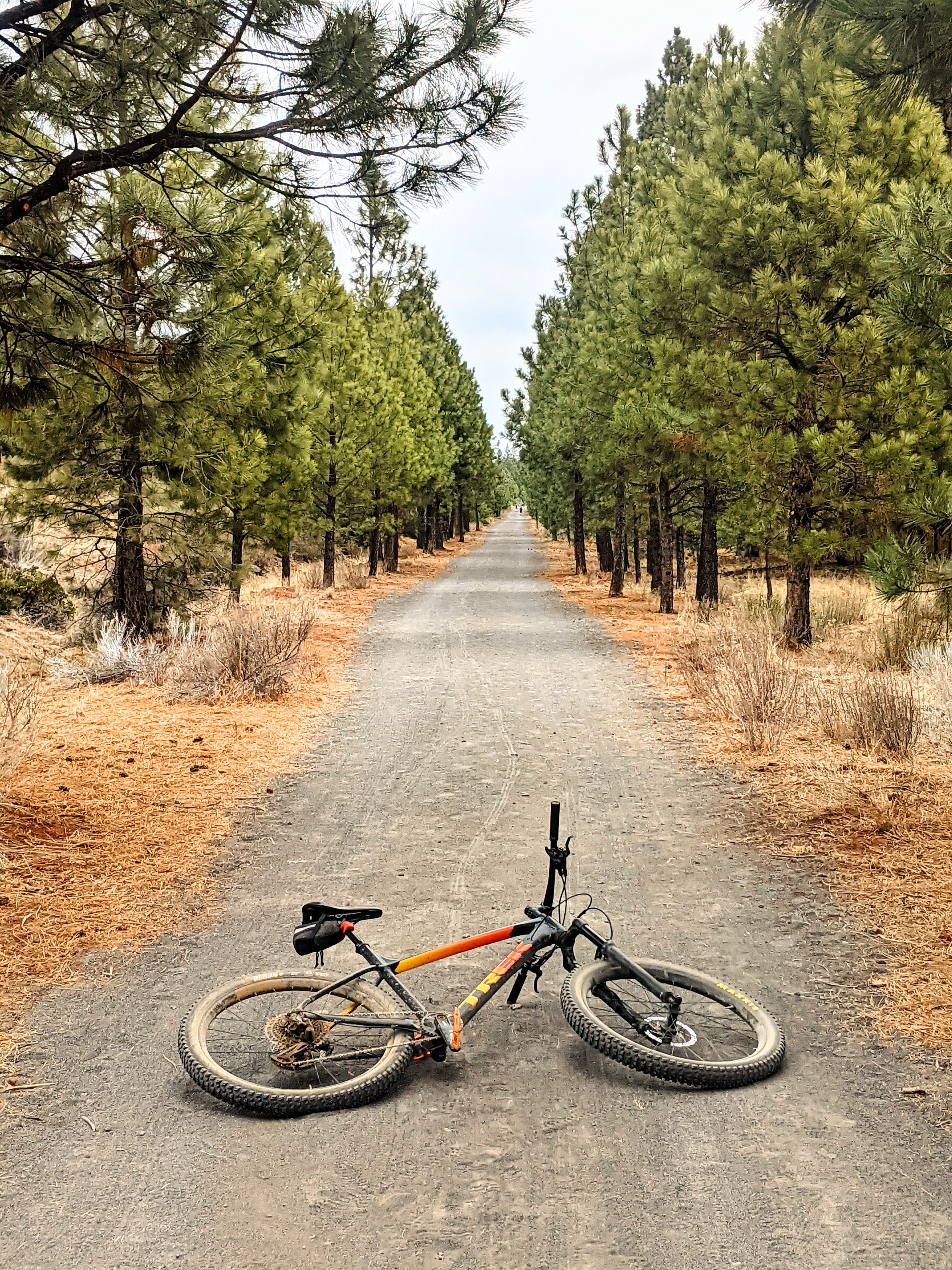 Path to Enlightenment - Geoff Rhodes (19).jpg