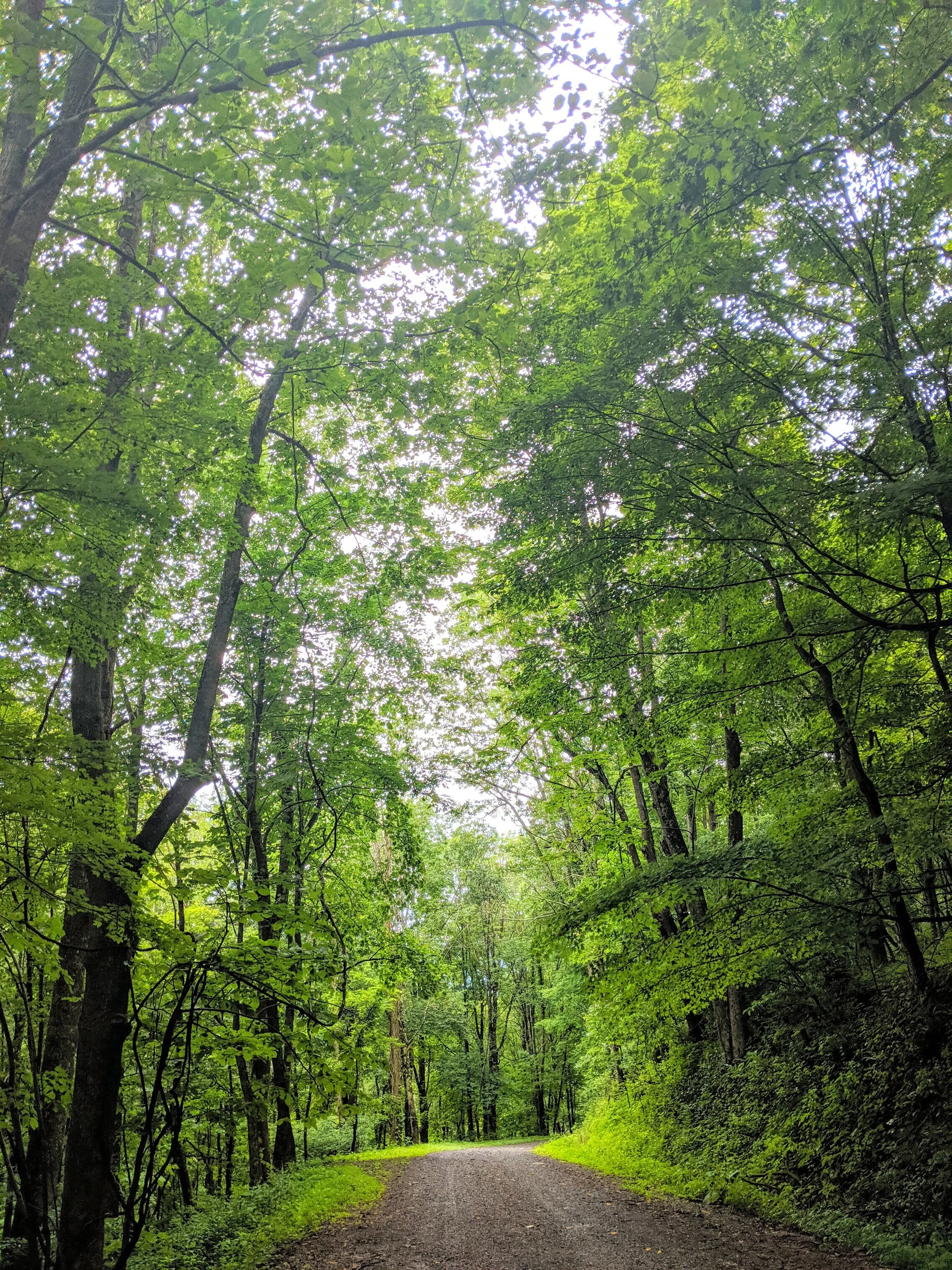 Life on the Road - Geoff Rhodes (6).jpg