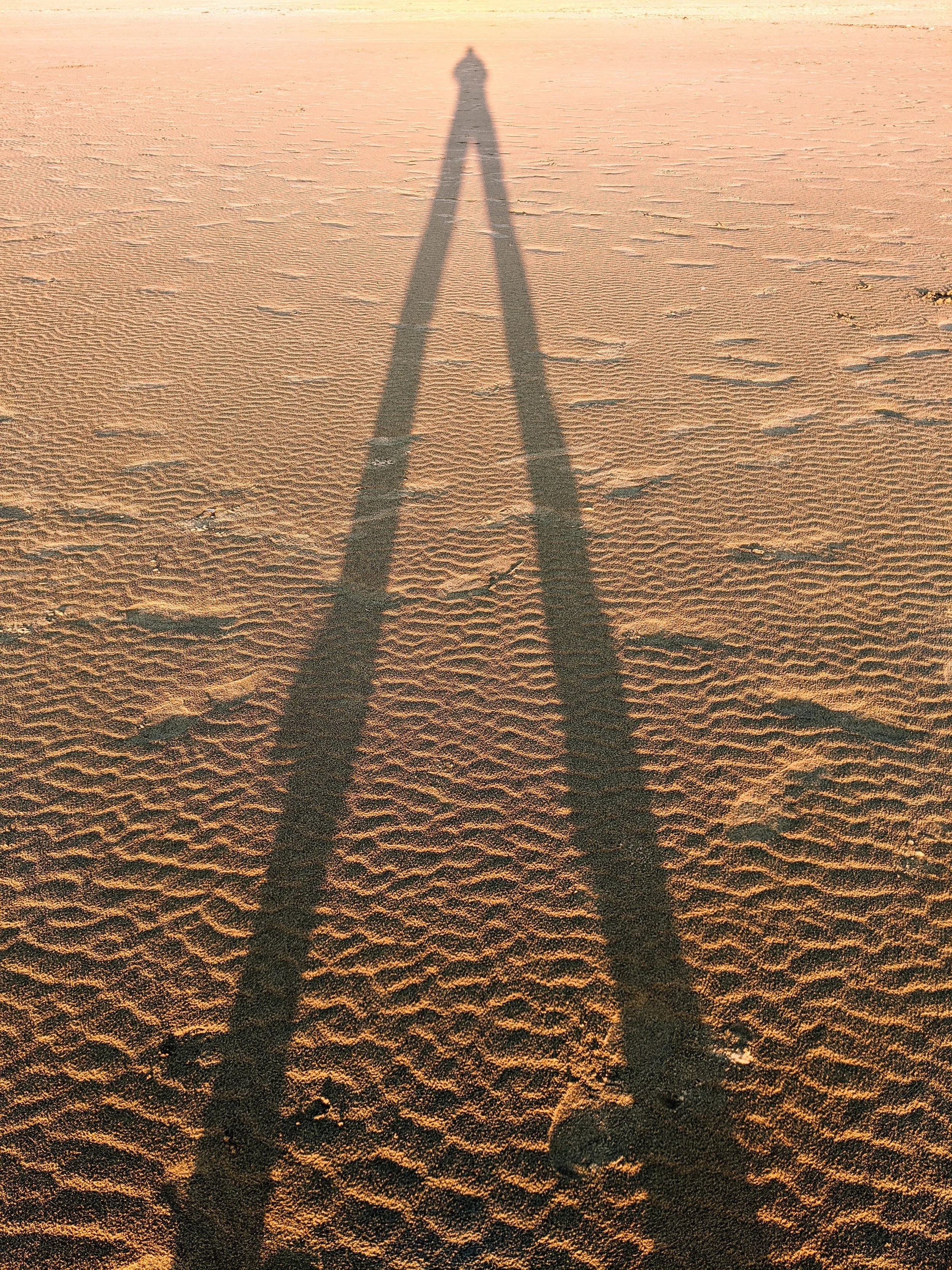 Shadow Games - Geoff Rhodes (48).jpg