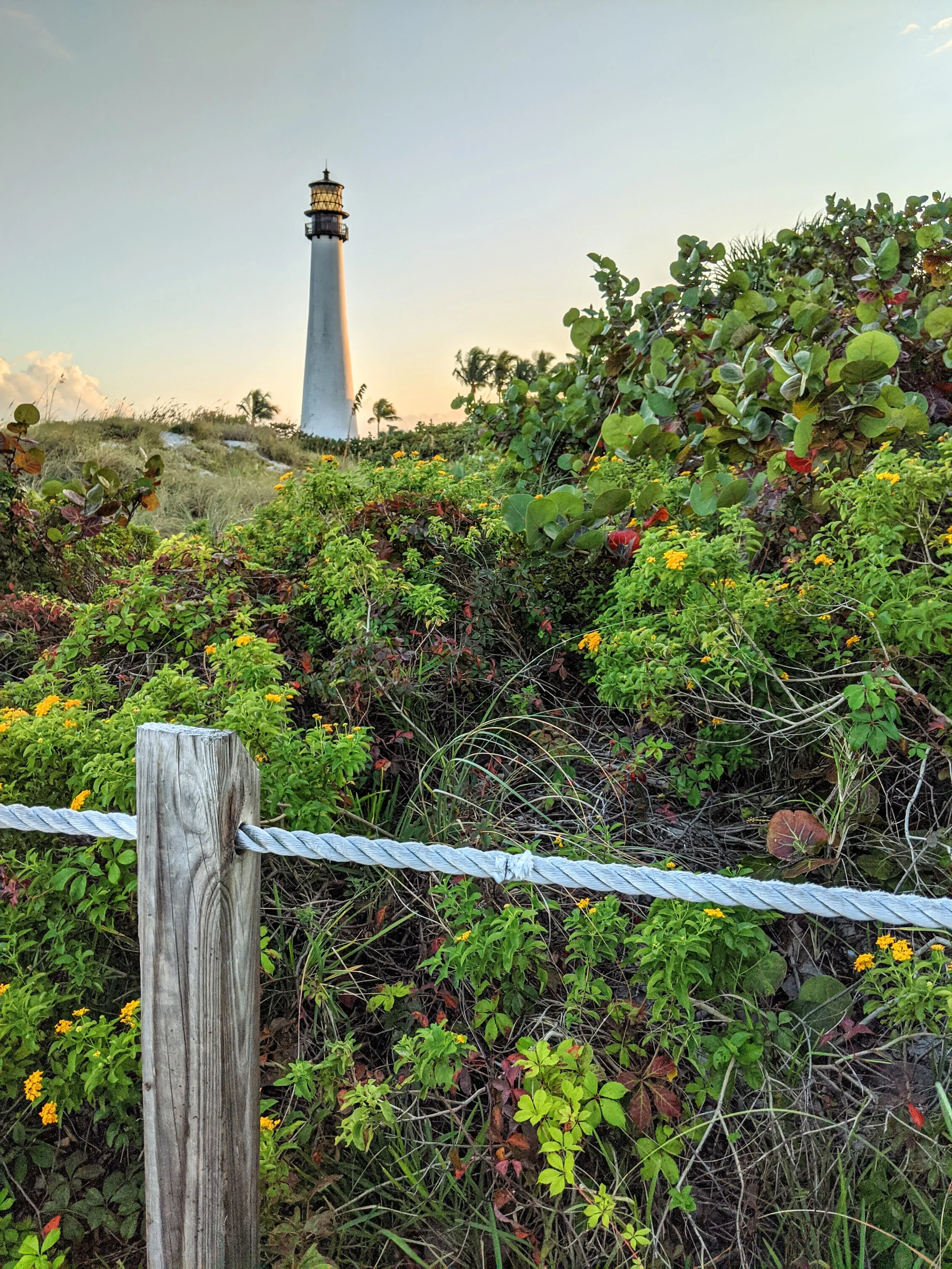 Fence Post Porn - Geoff Rhodes (21).jpg