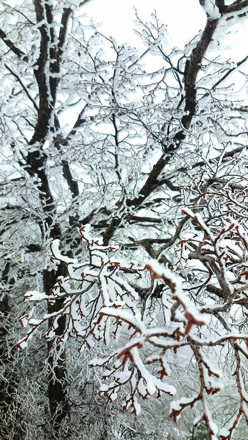 The World Around Me - Geoff Rhodes  (71).jpg