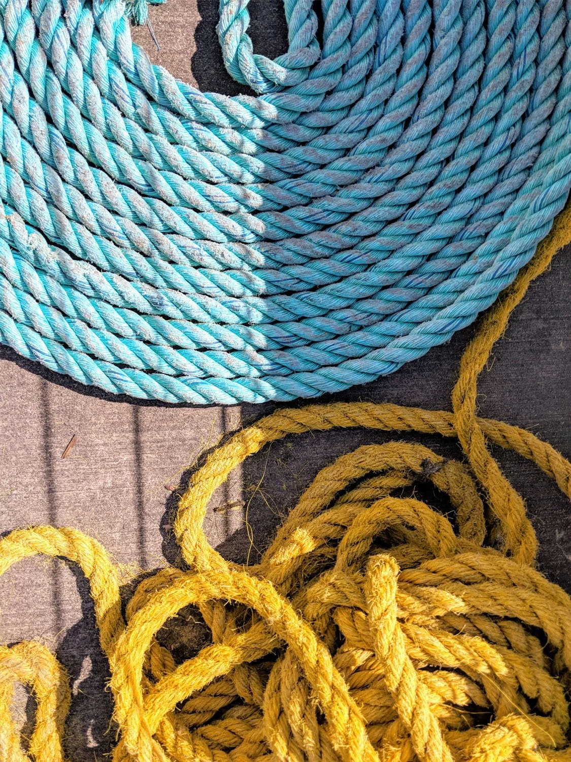 The World Around Me - Geoff Rhodes  (12).jpg