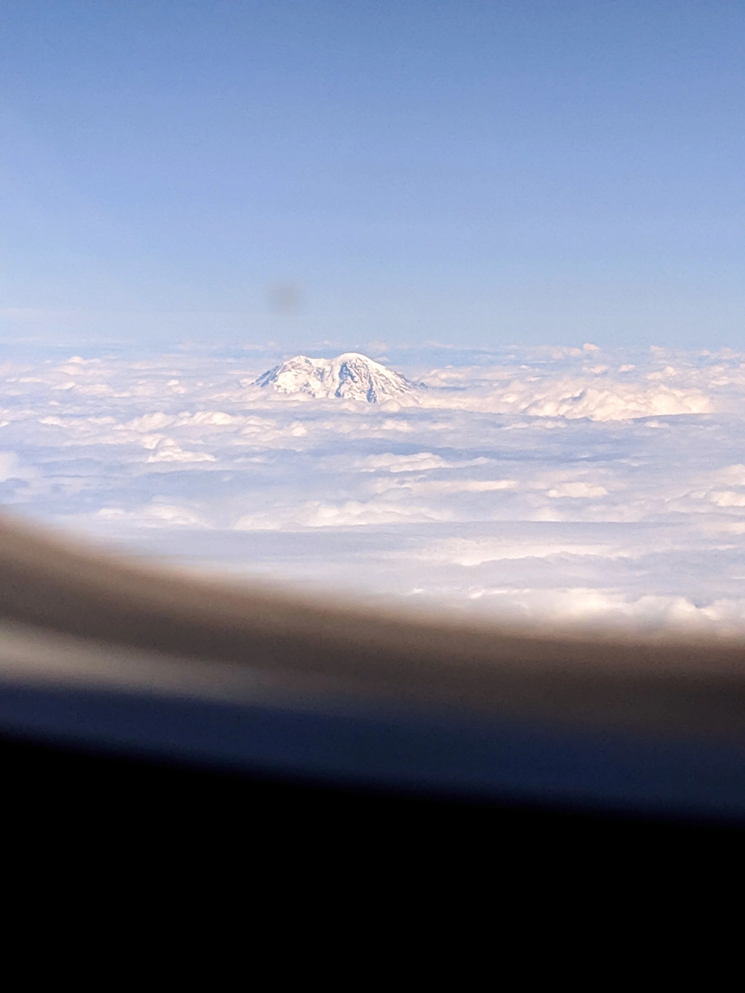 This is Your Captain Speaking - window - Geoff Rhodes (12).jpg