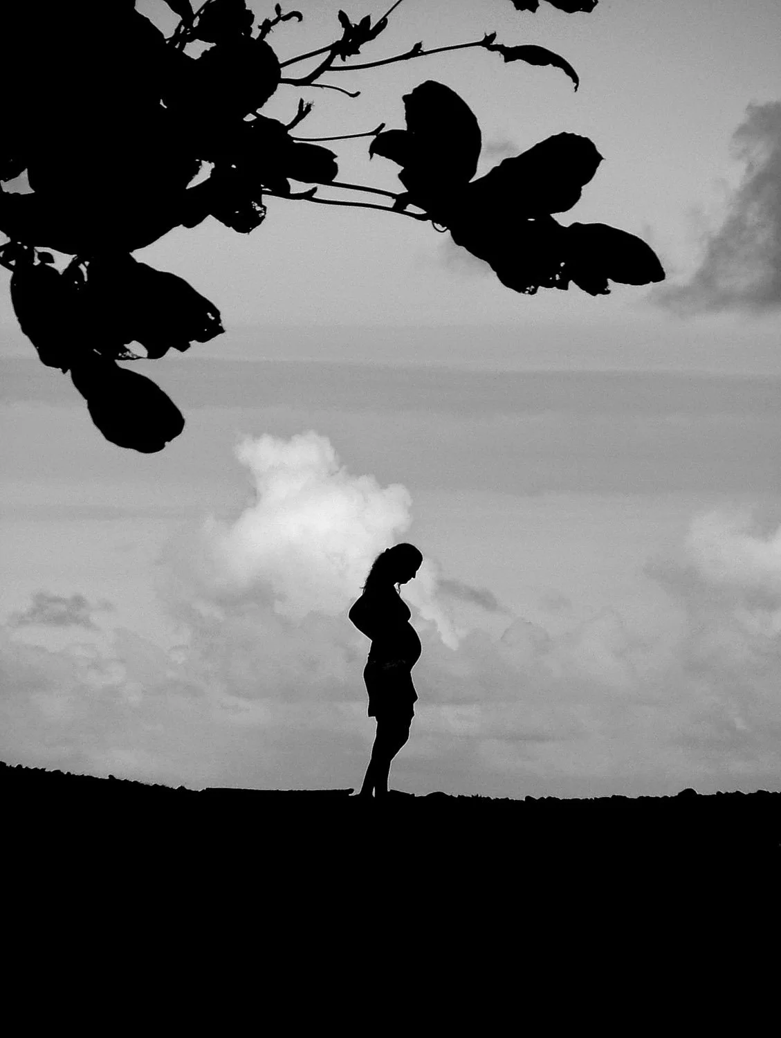 Composition - Geoff Rhodes (10).jpg