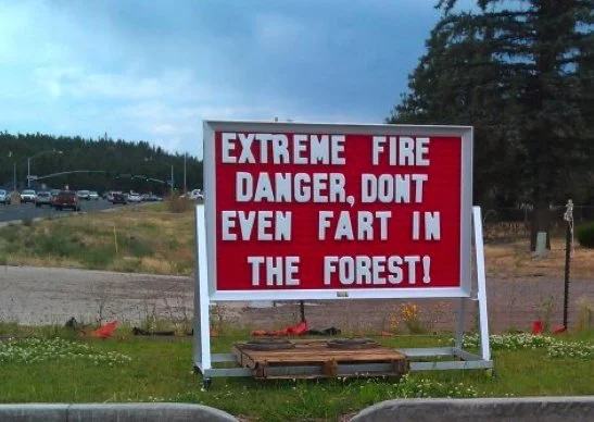 Just for Fun - Geoff Rhodes (11).jpg