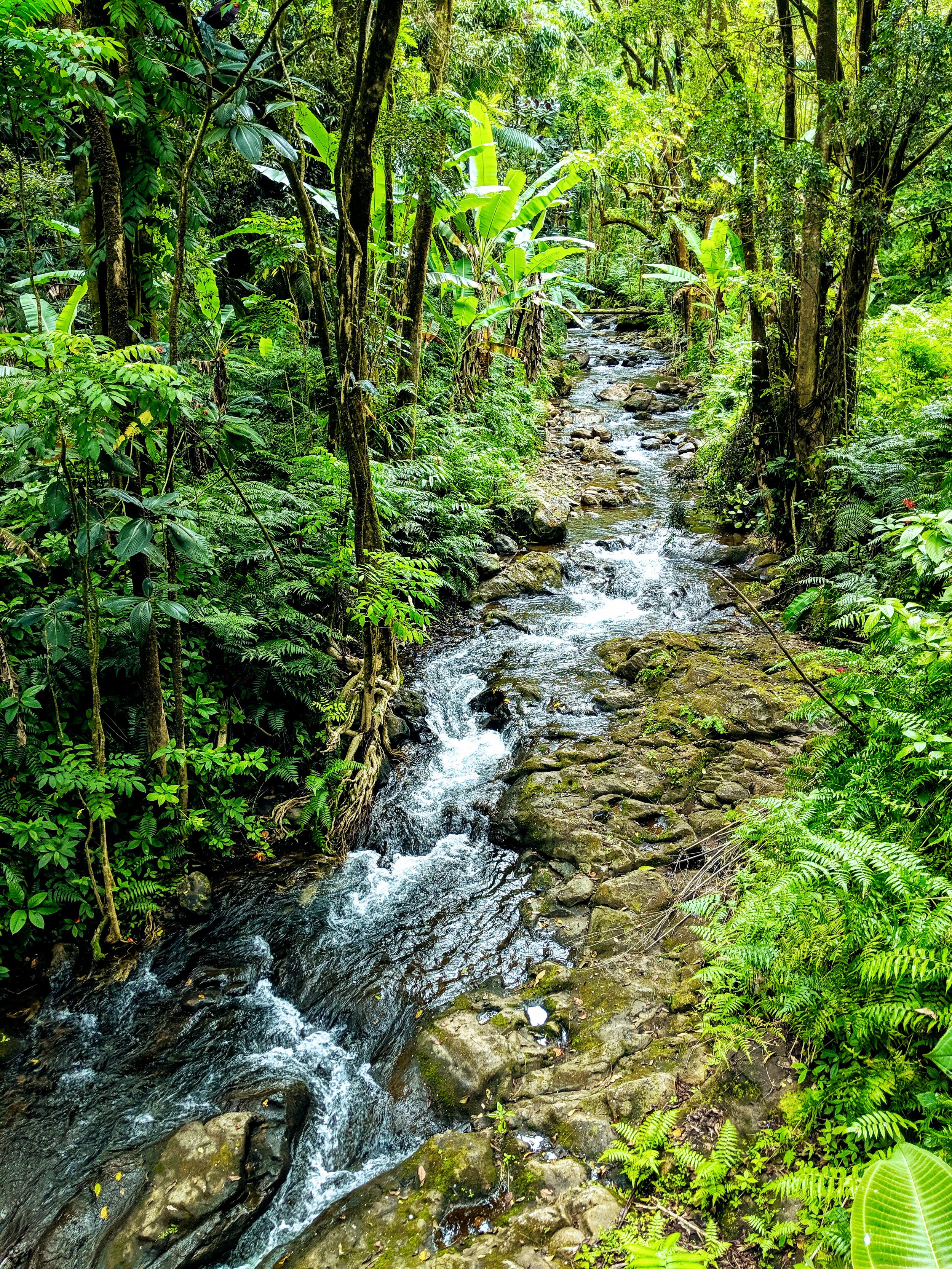 Hawaii - Geoff Rhodes - Ridgeline Creative (12).jpg