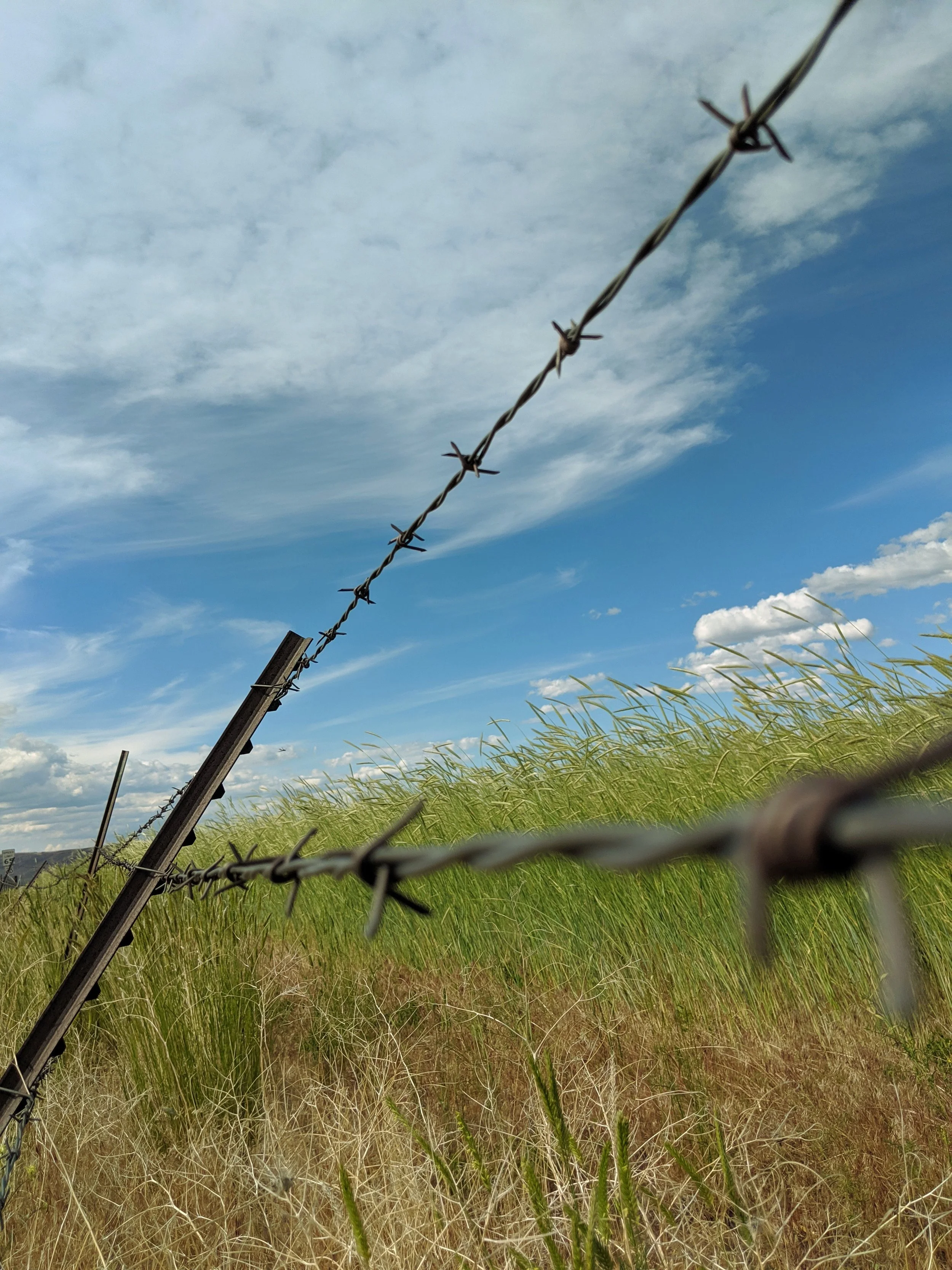 Fence Post Porn - Geoff Rhodes (2).jpg