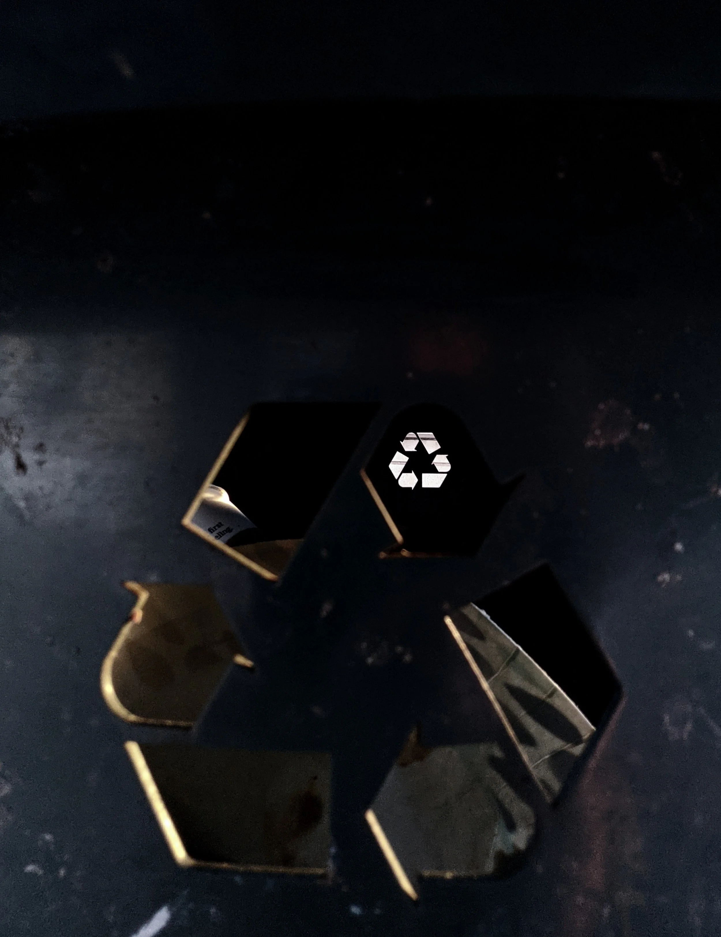 The World Around Me - Geoff Rhodes  (54).jpg