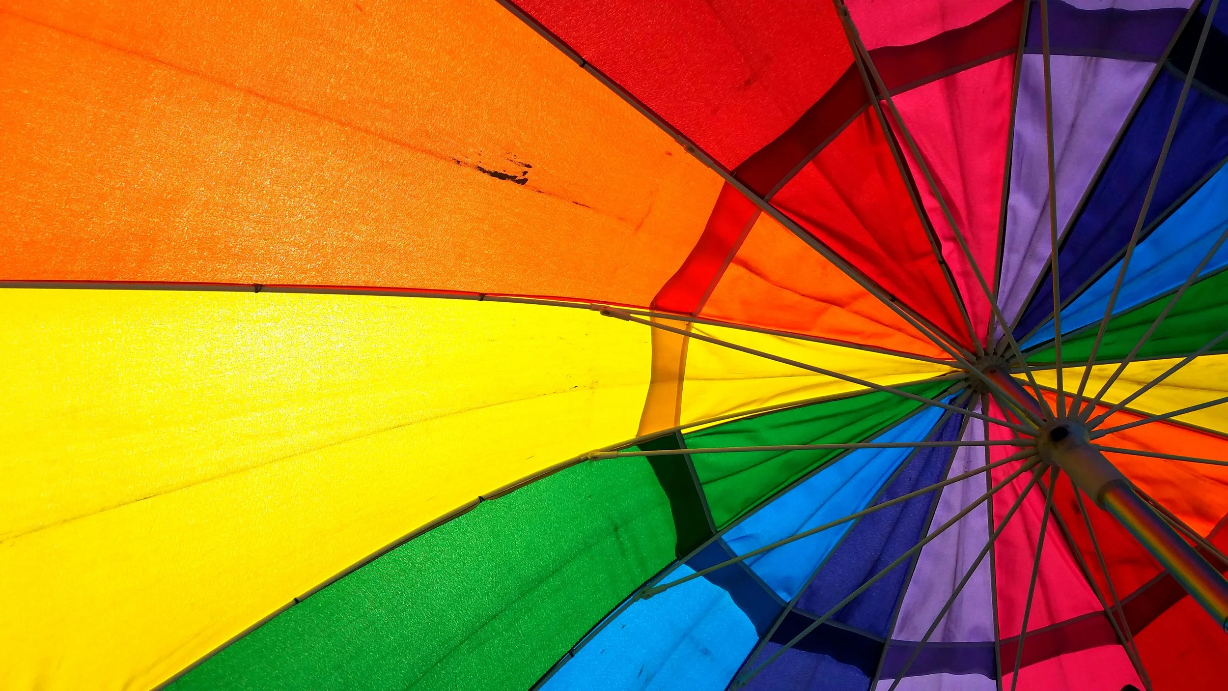 The World Around Me - Geoff Rhodes  (62).jpg