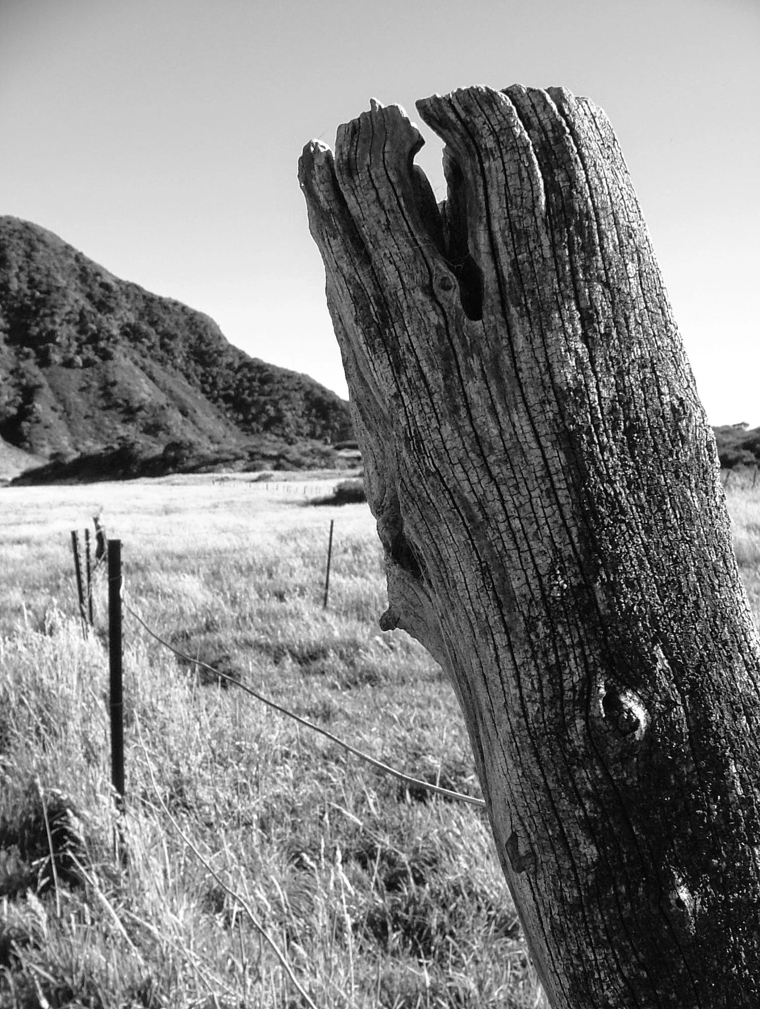 Fence Post Porn - Geoff Rhodes (8).JPG