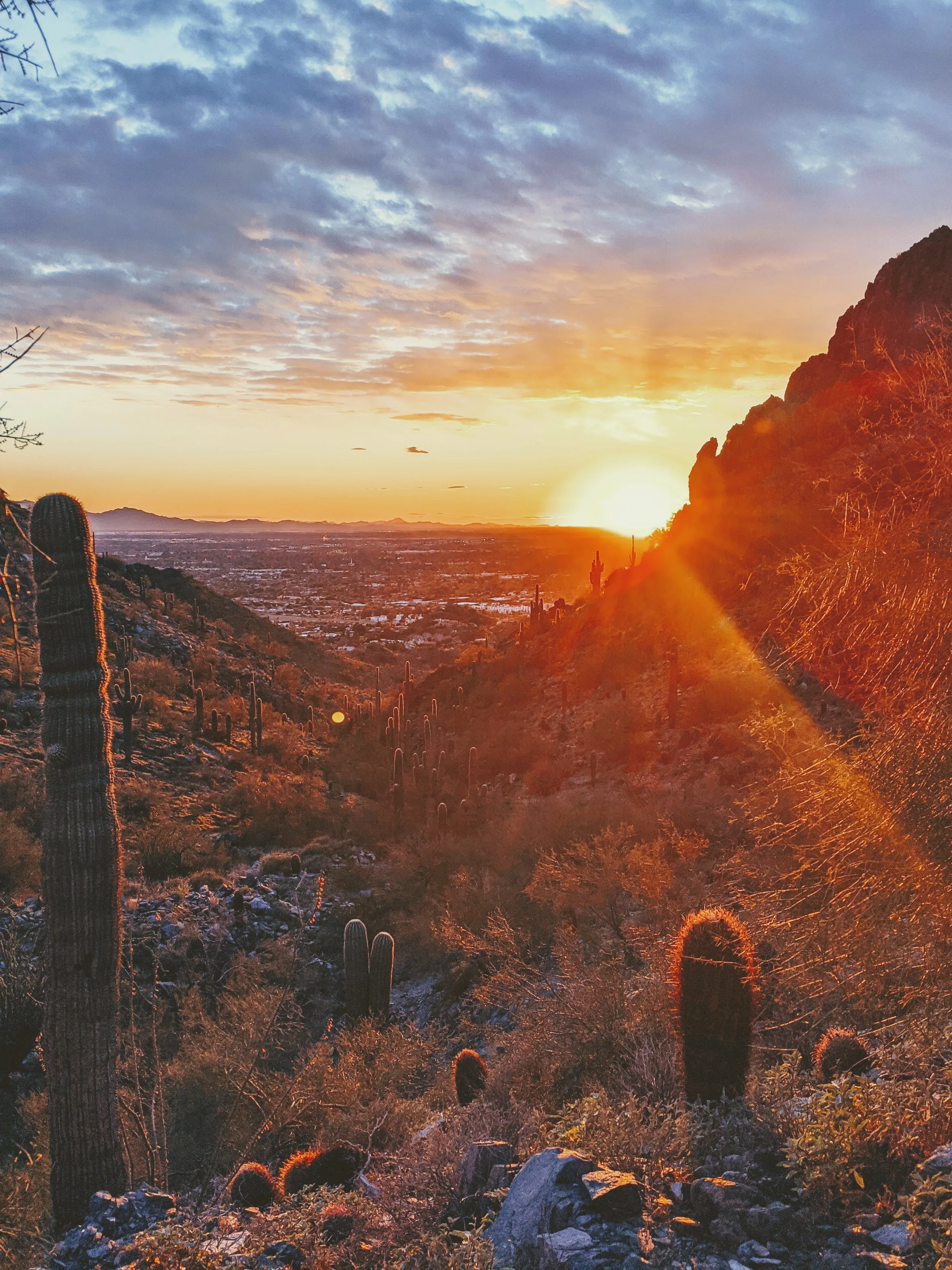 Desert Solitude - landscape - Geoff Rhodes (21).jpg