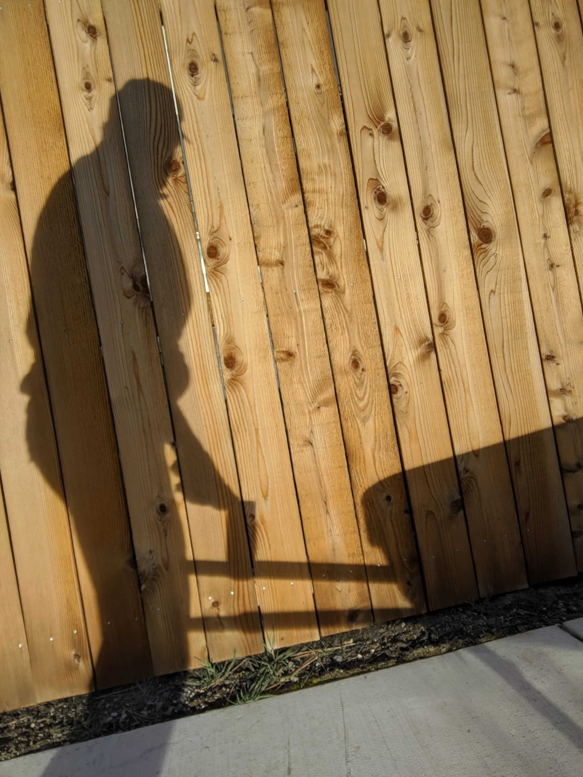 Shadow Games - Geoff Rhodes (29).jpg