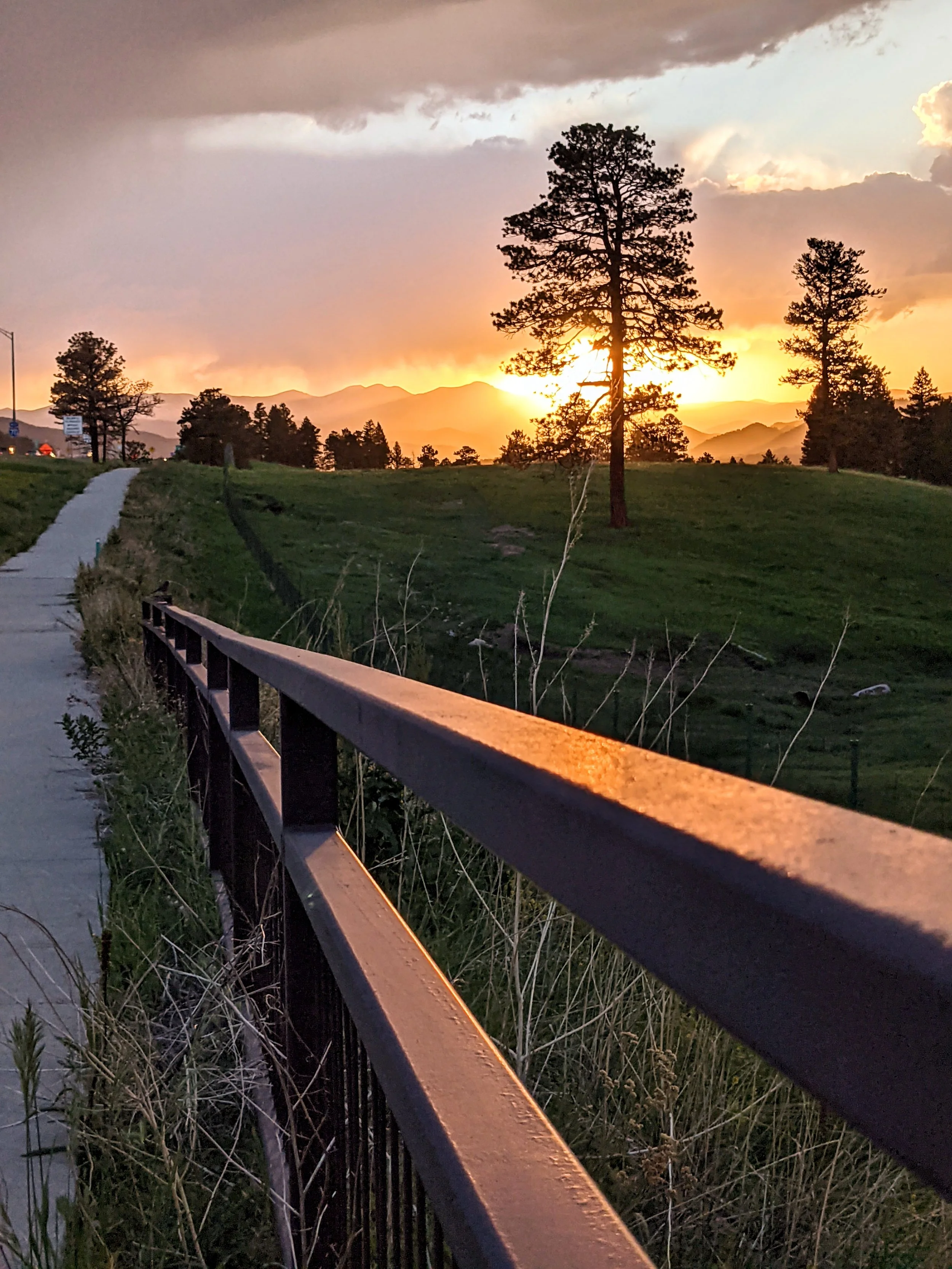 Fence Post Porn - Geoff Rhodes (36).jpg