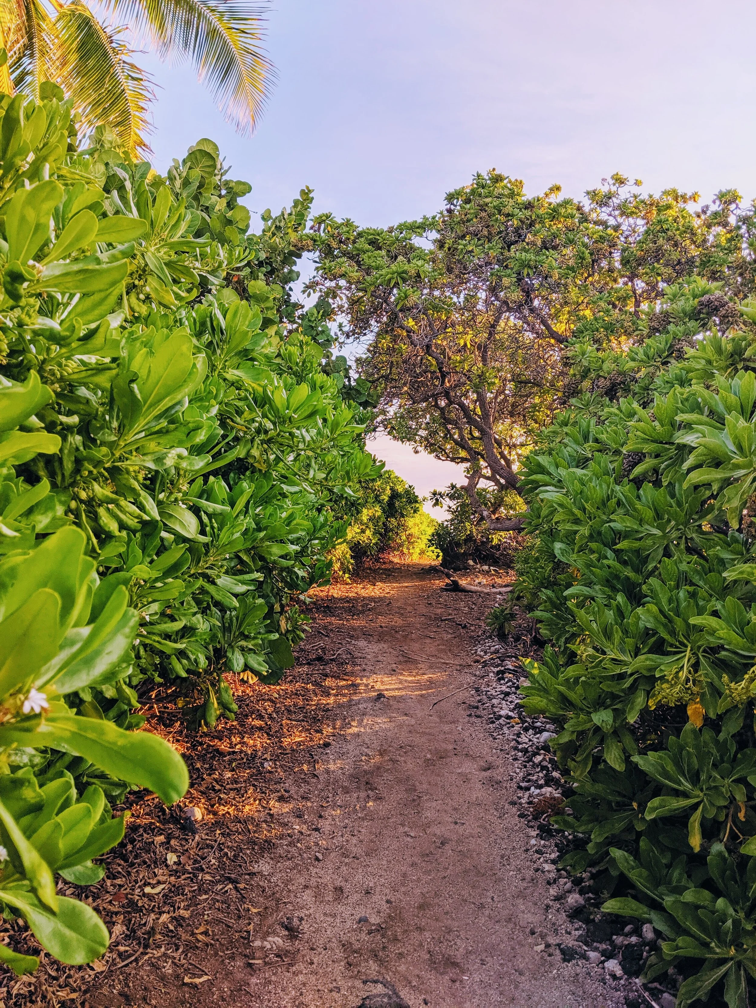 Life on the Road - Geoff Rhodes (8).jpg