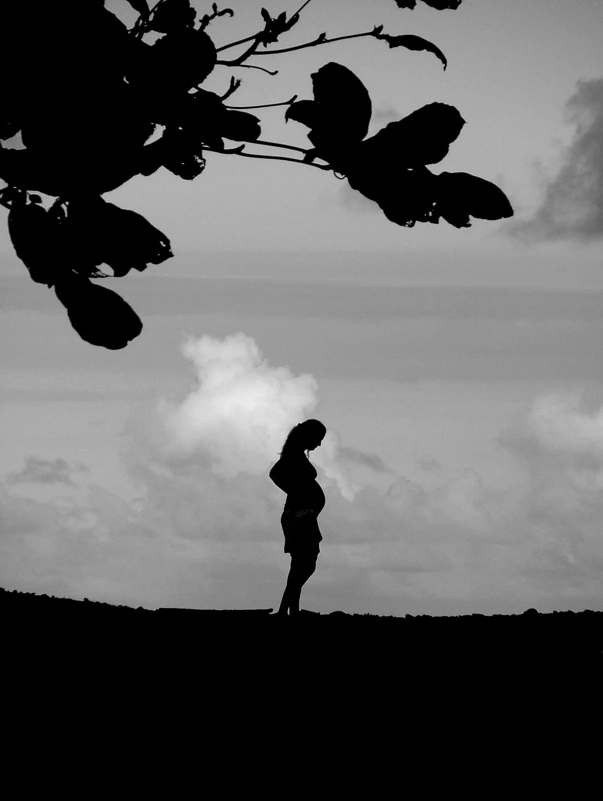 I Love your Silhouette - Geoff Rhodes (33).JPG