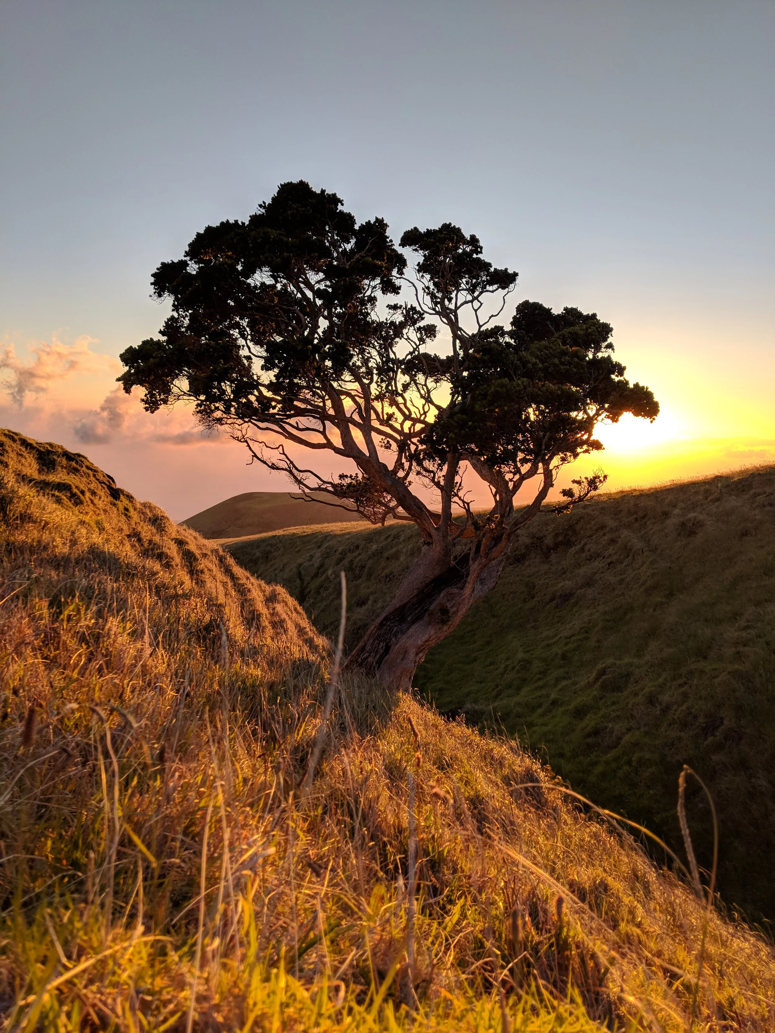 I Love your Silhouette - Geoff Rhodes (36).jpg