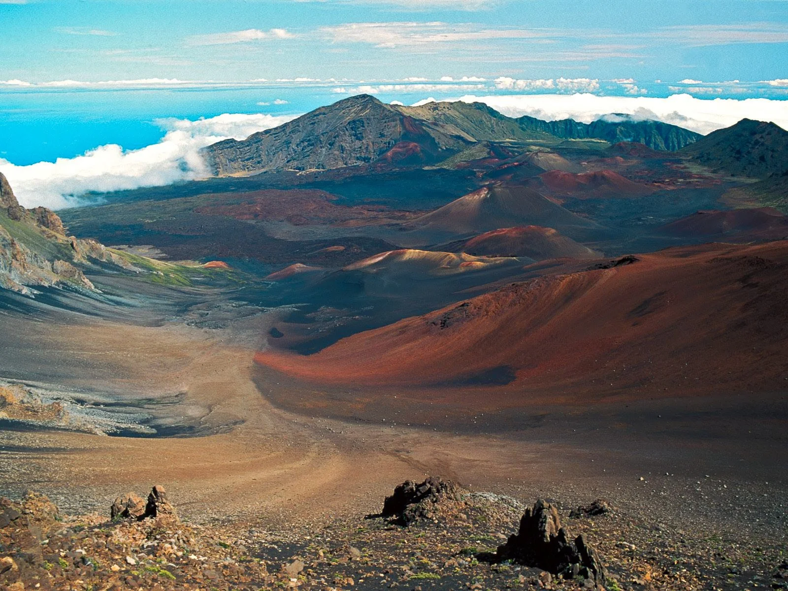 Hawaii - Geoff Rhodes - Ridgeline Creative (4).jpg