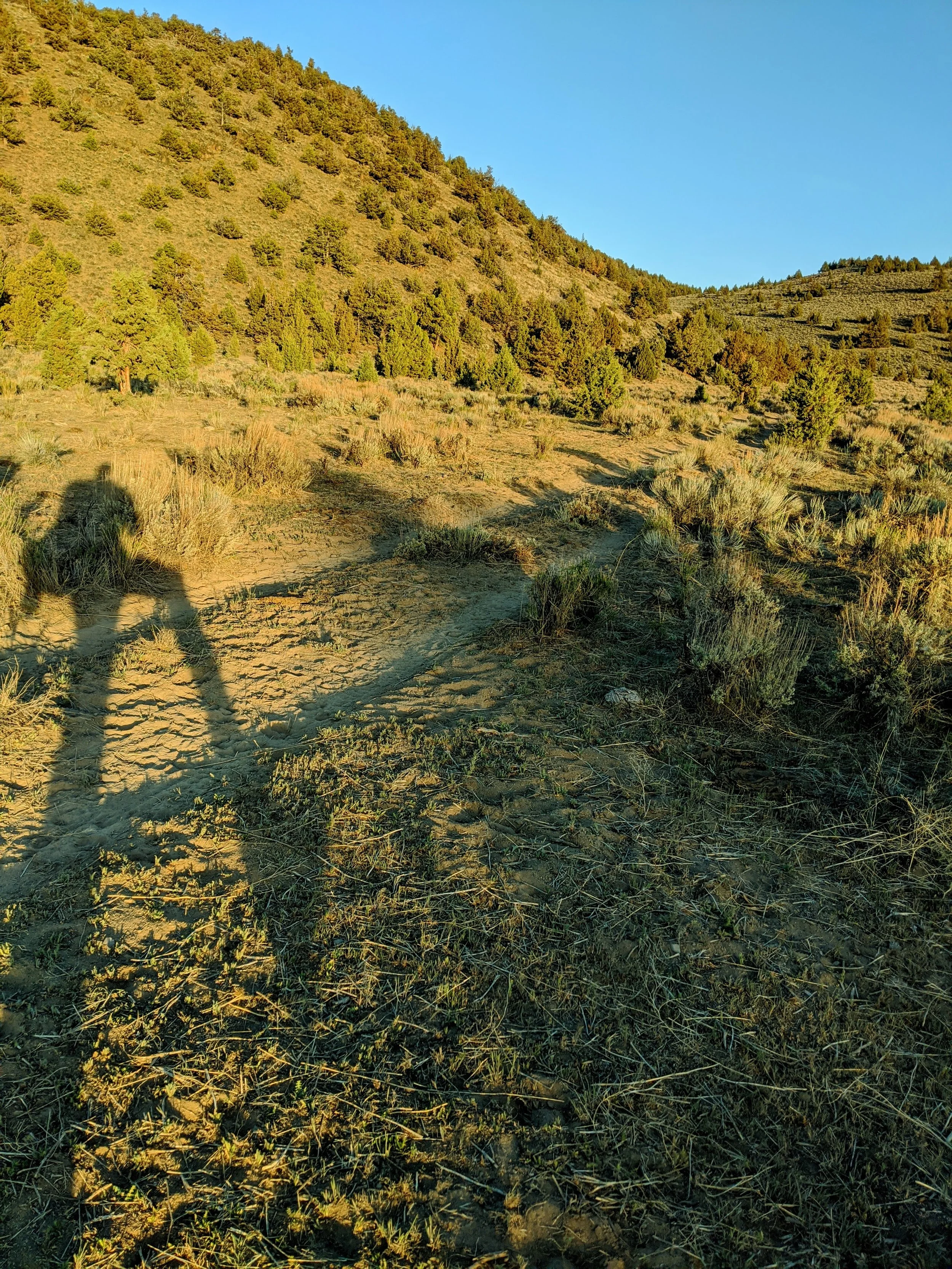 Shadow Games - Geoff Rhodes (31).jpg