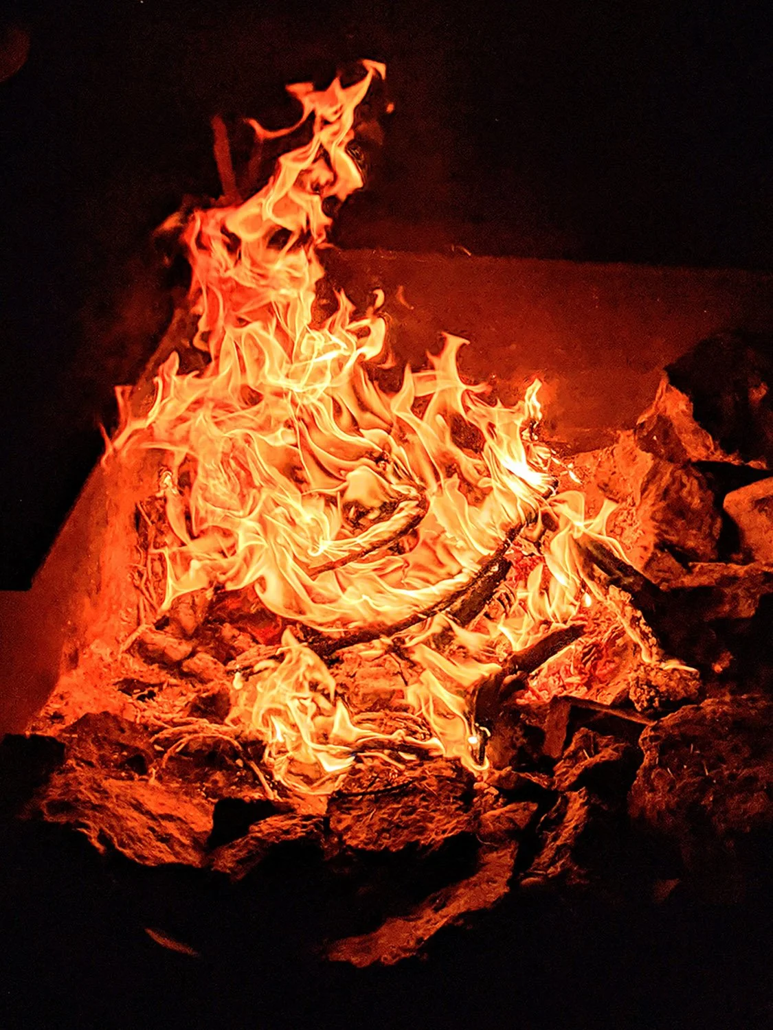 The World Around Me - Geoff Rhodes  (70).jpg