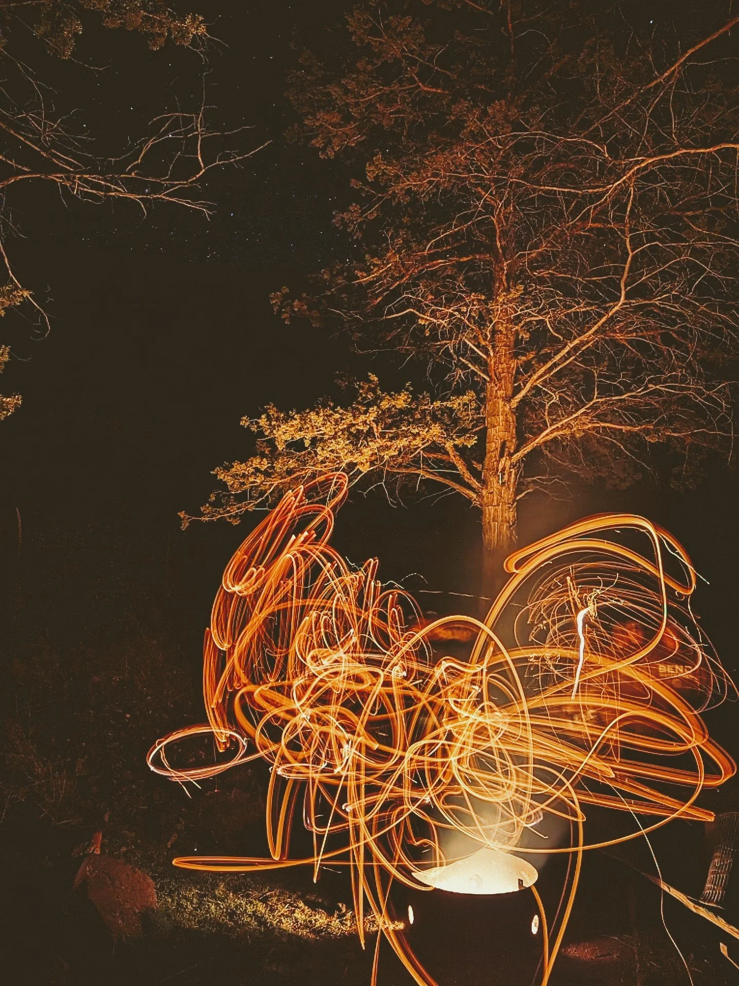 The World Around Me - Geoff Rhodes  (40).jpg