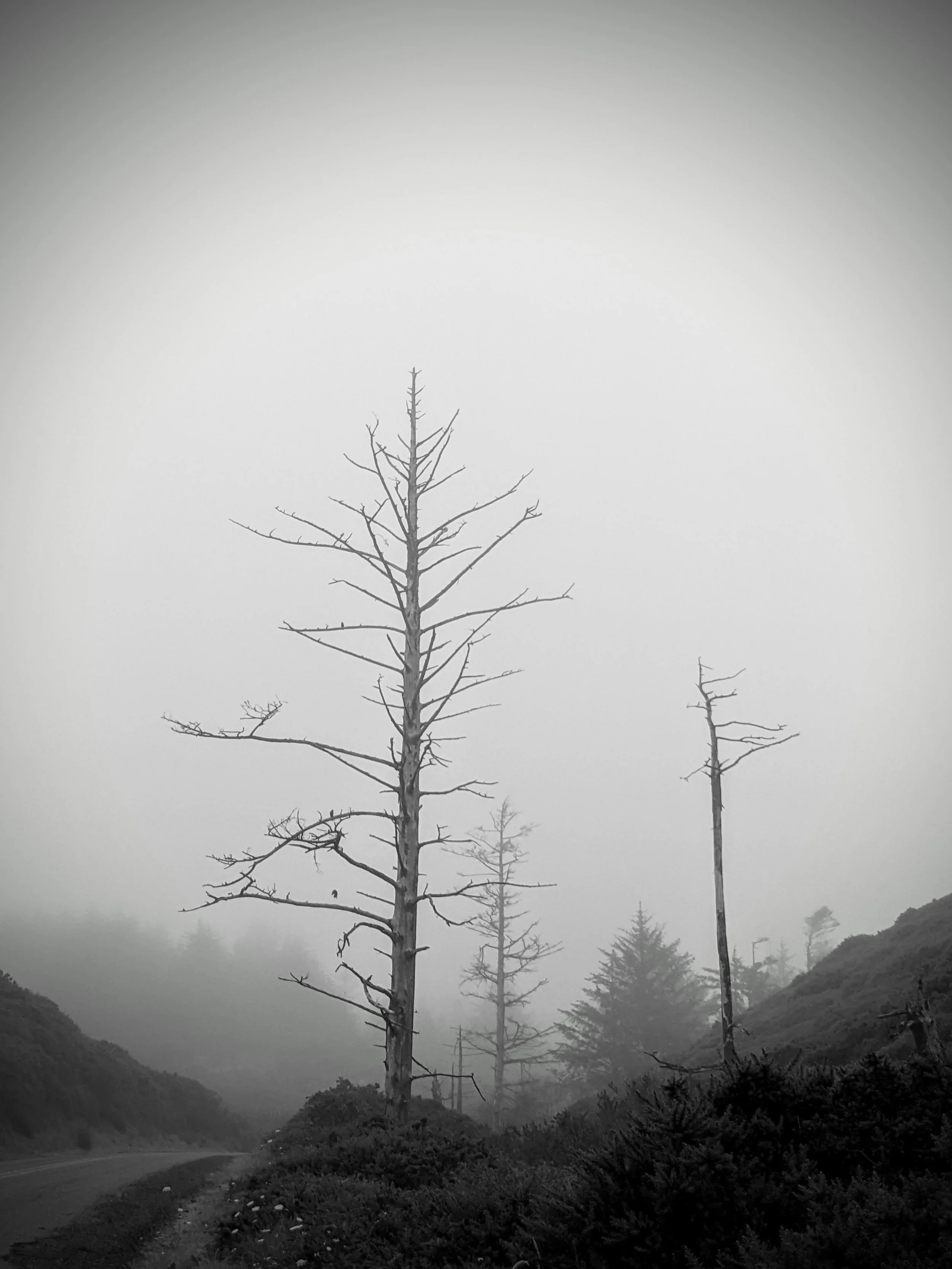 Composition - Geoff Rhodes (62).jpg