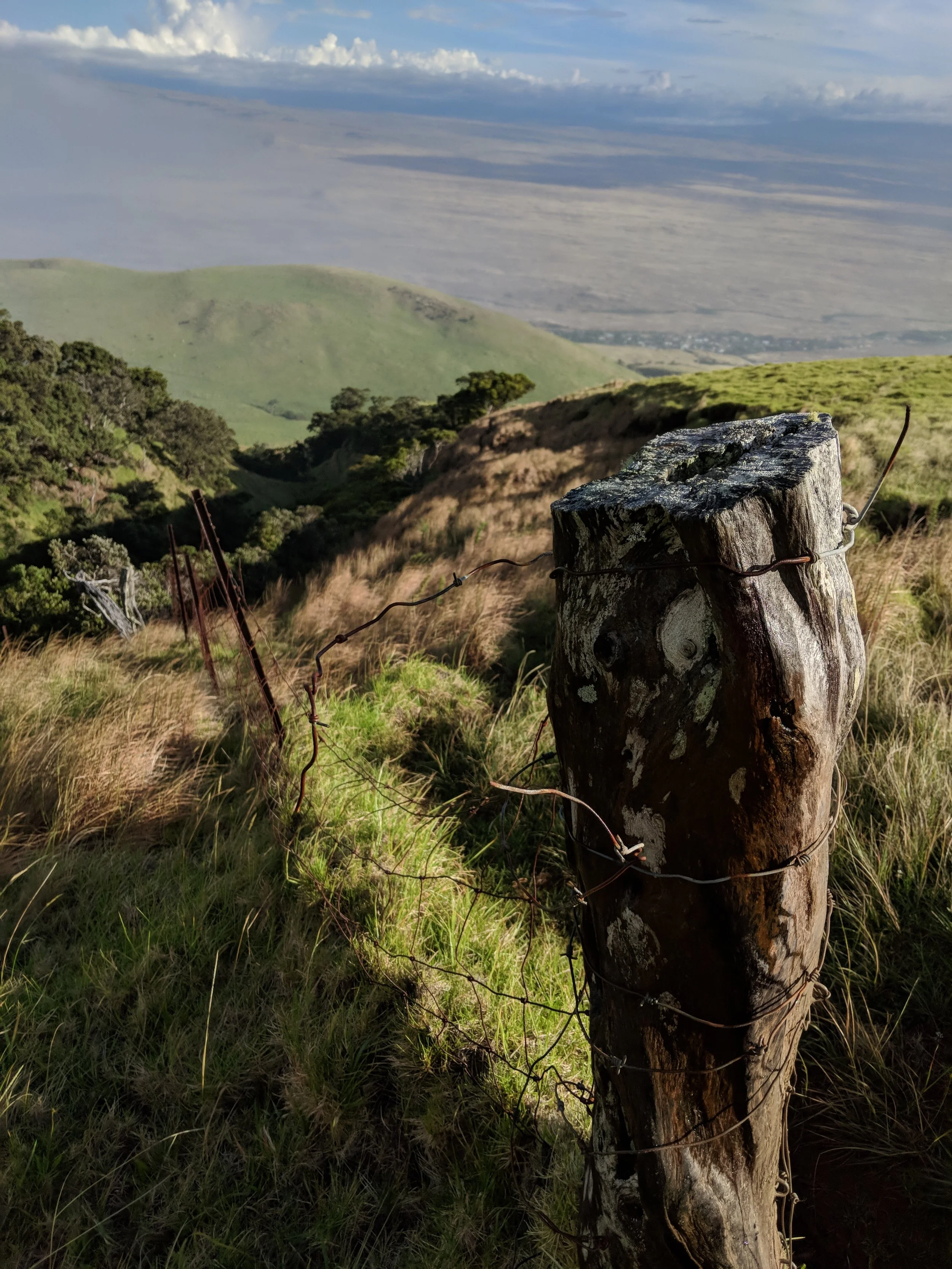 Fence Post Porn - Geoff Rhodes (14).jpg