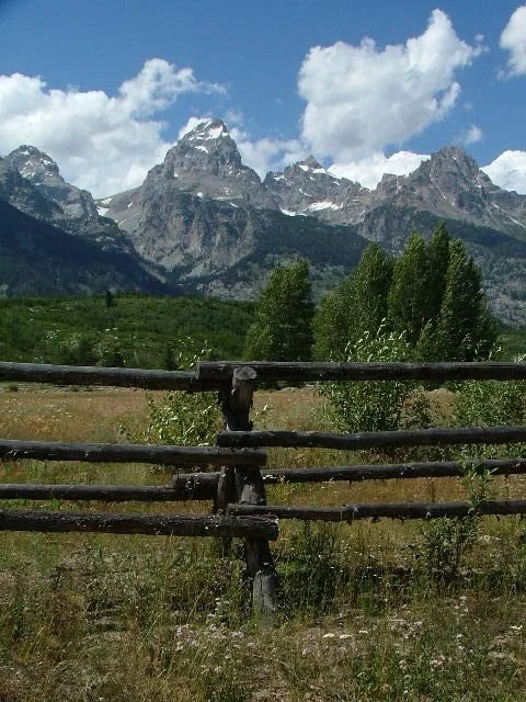 Fence Post Porn - Geoff Rhodes (7).JPG