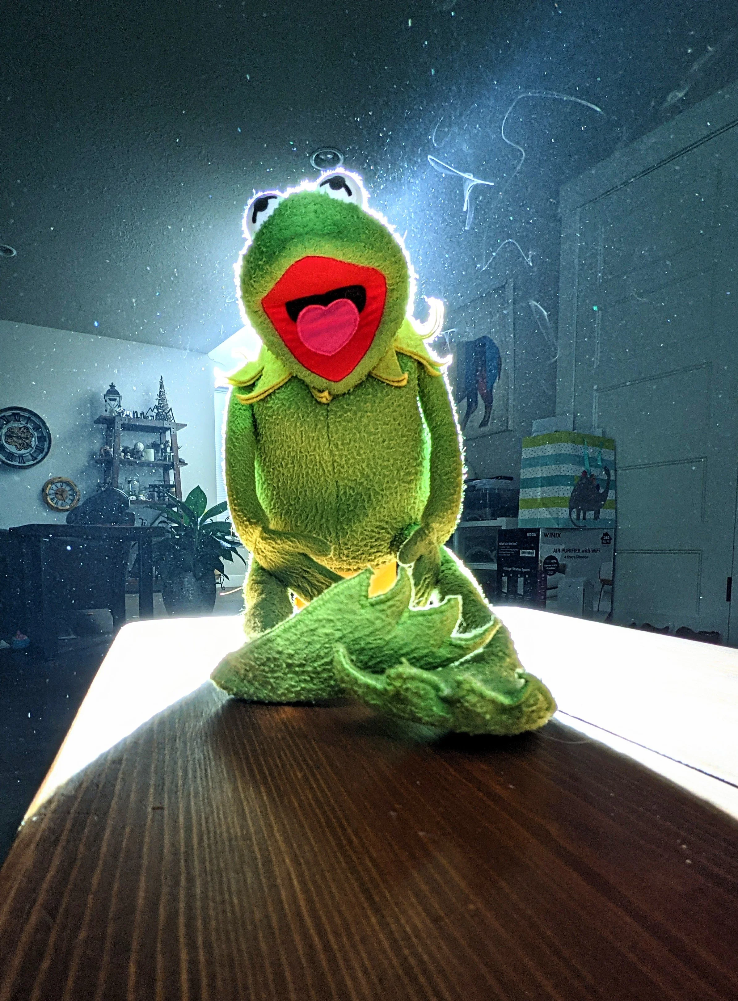 The World Around Me - Geoff Rhodes  (17).jpg