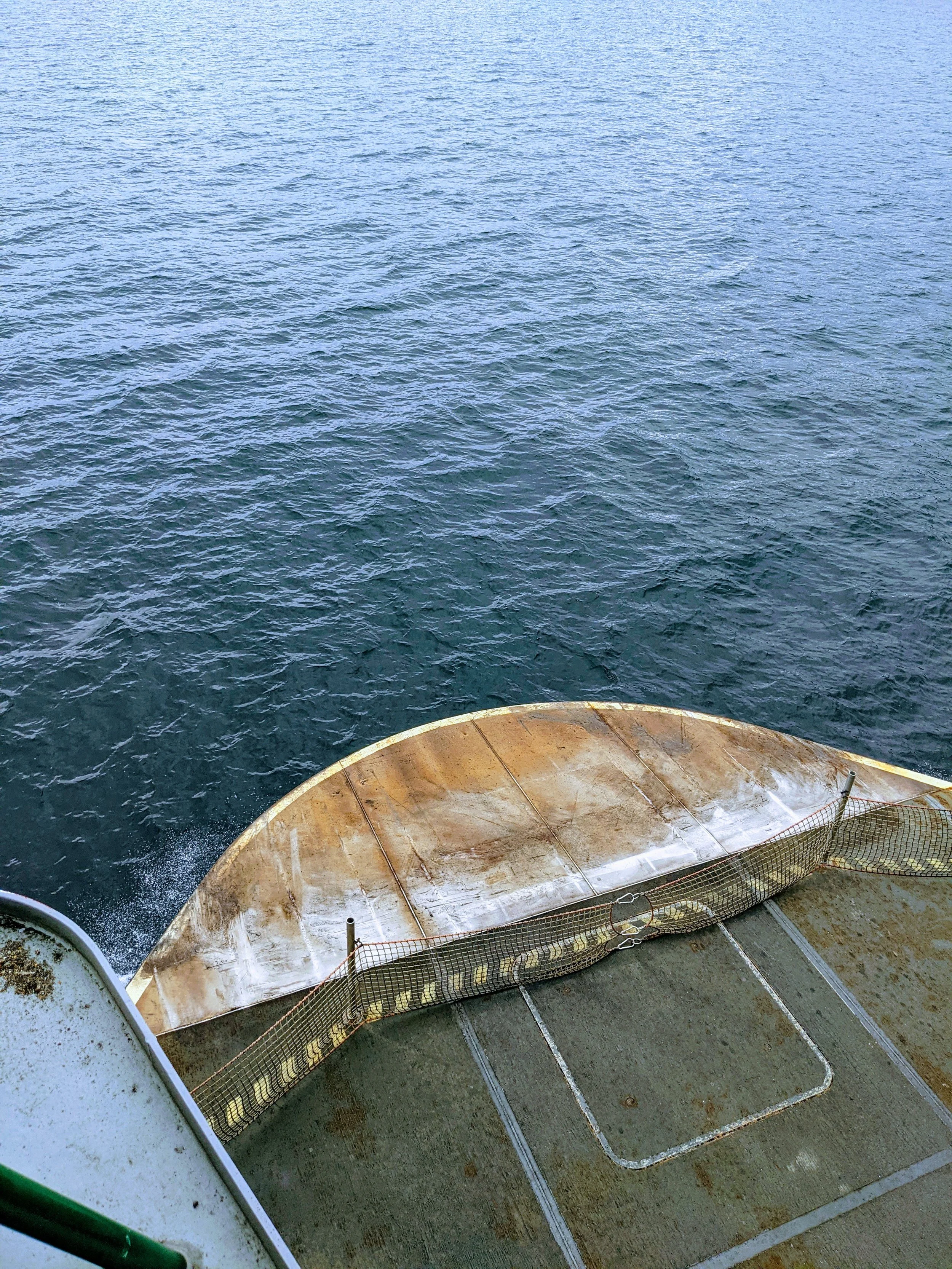 Composition - Geoff Rhodes (7).jpg