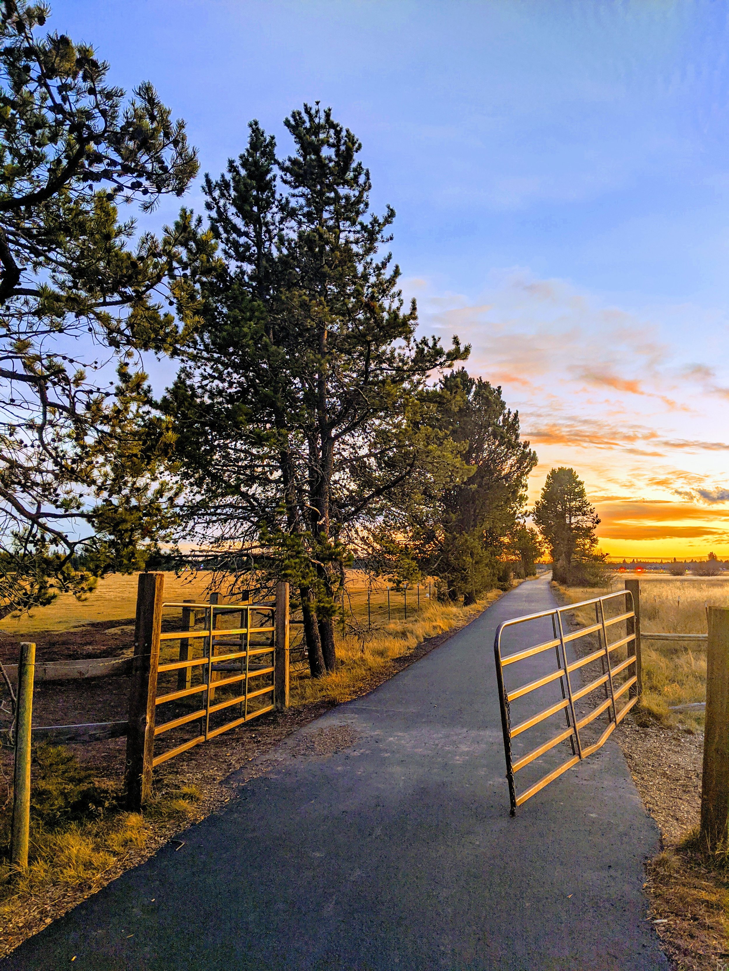 Fence Post Porn - Geoff Rhodes (20).jpg