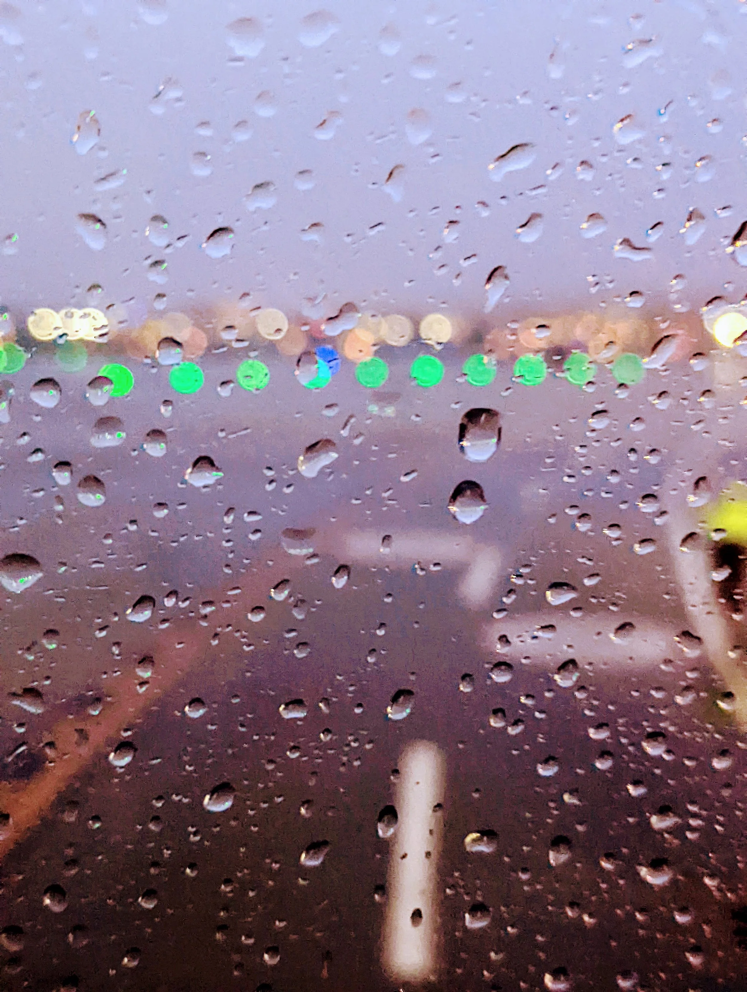 The World Around Me - Geoff Rhodes  (50).jpg