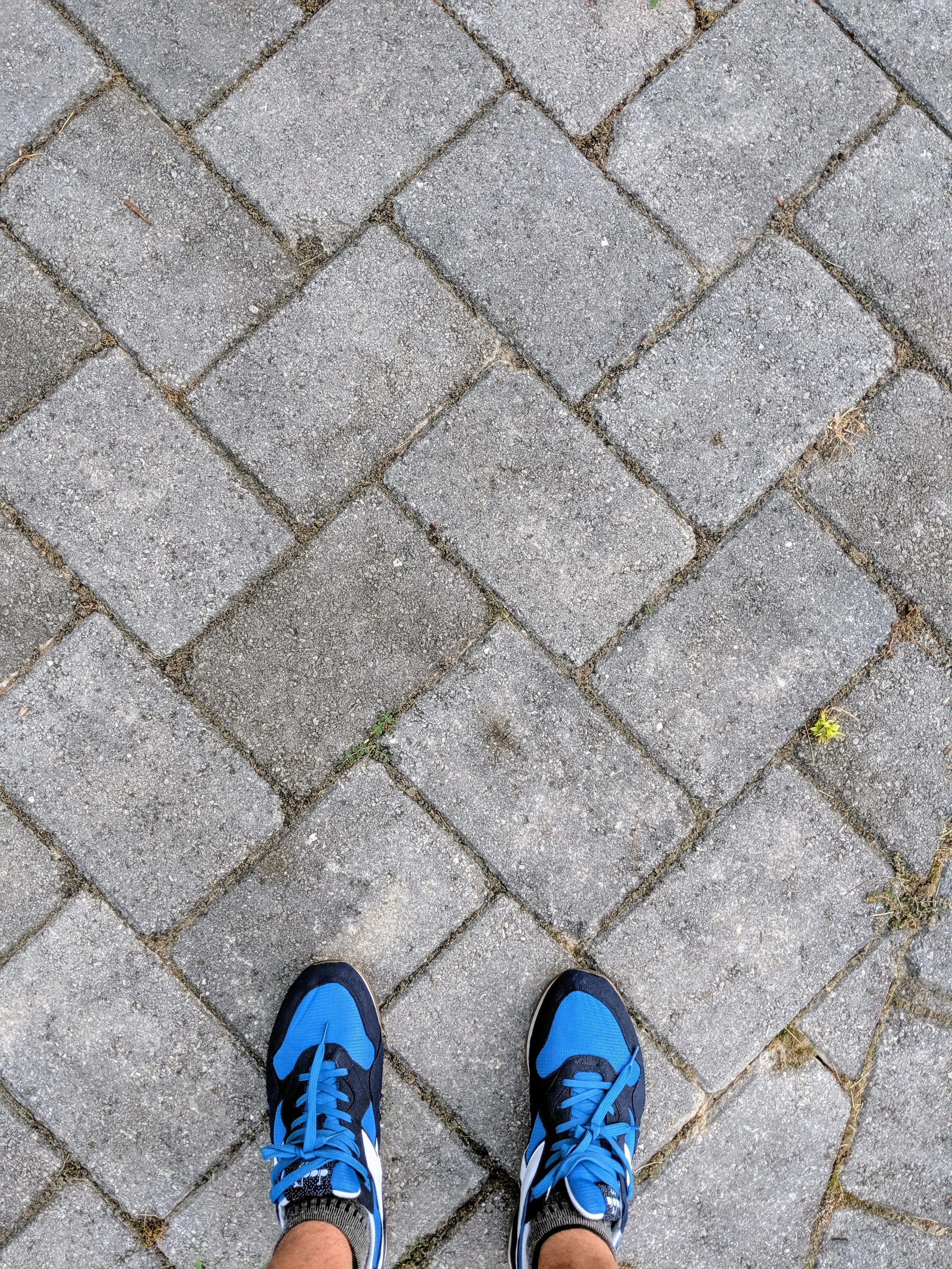 Tale of Two Soles - Geoff Rhodes (11).jpg