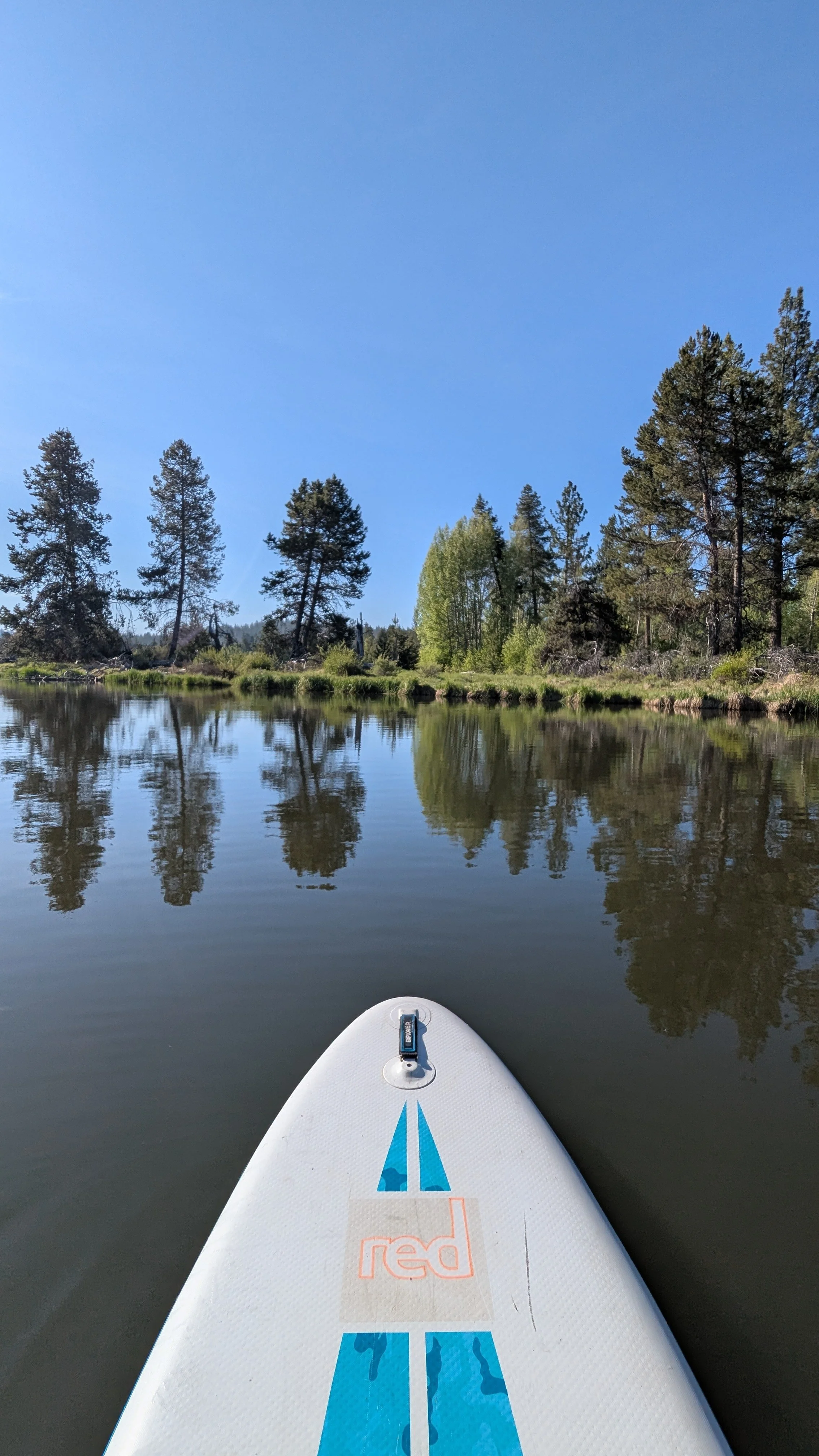 Just the Tip - SUP - Red (1).jpg