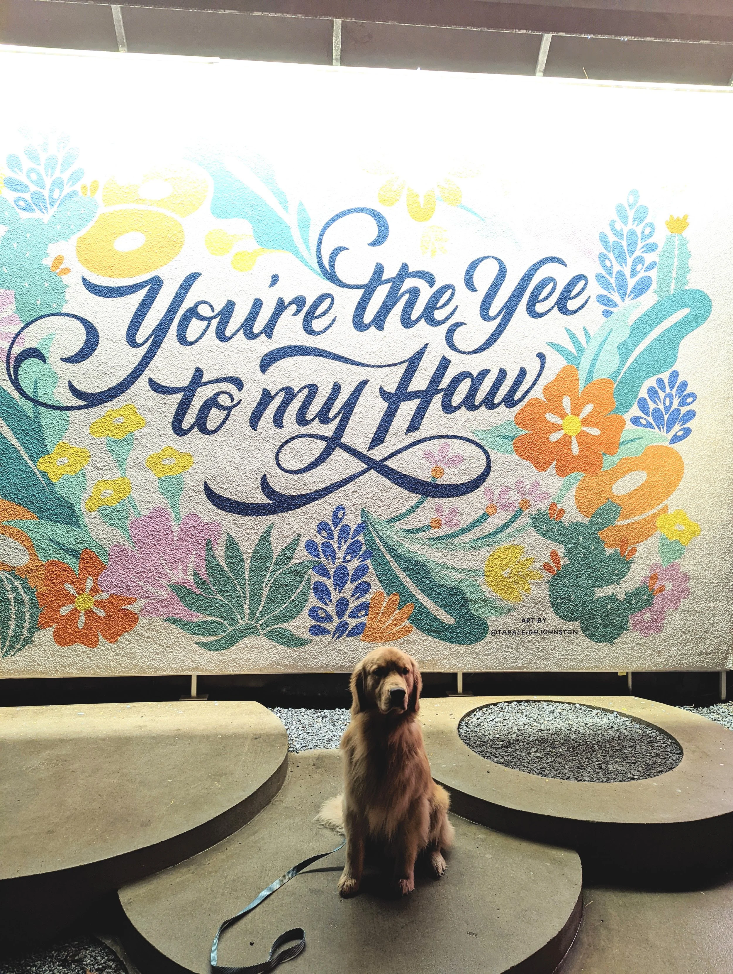 The World Around Me - Geoff Rhodes  (51).jpg