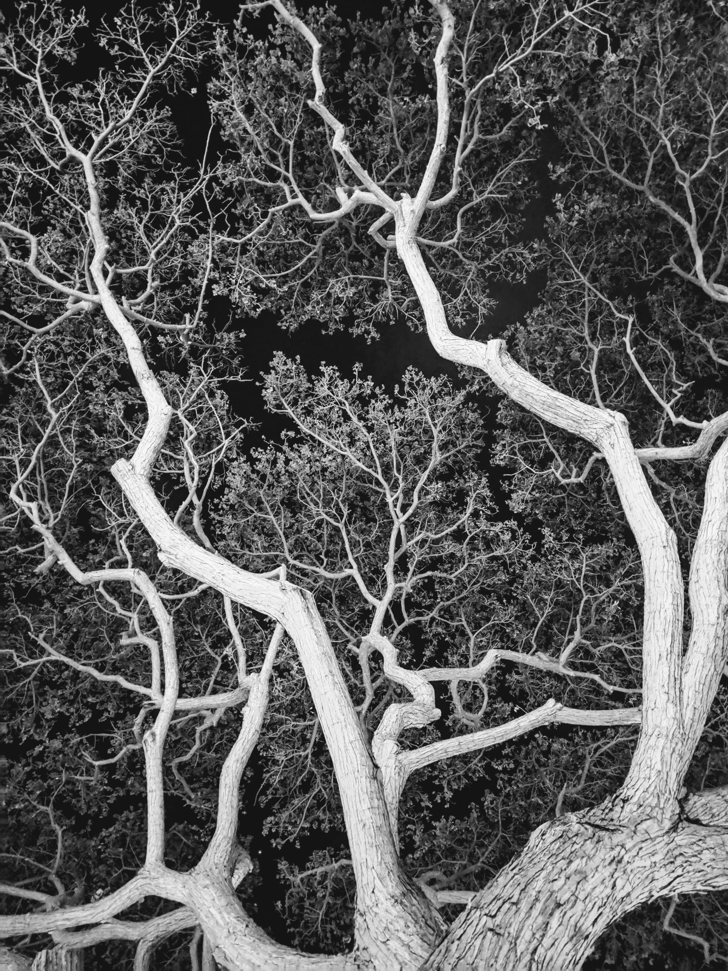 Composition - Geoff Rhodes (16).jpg