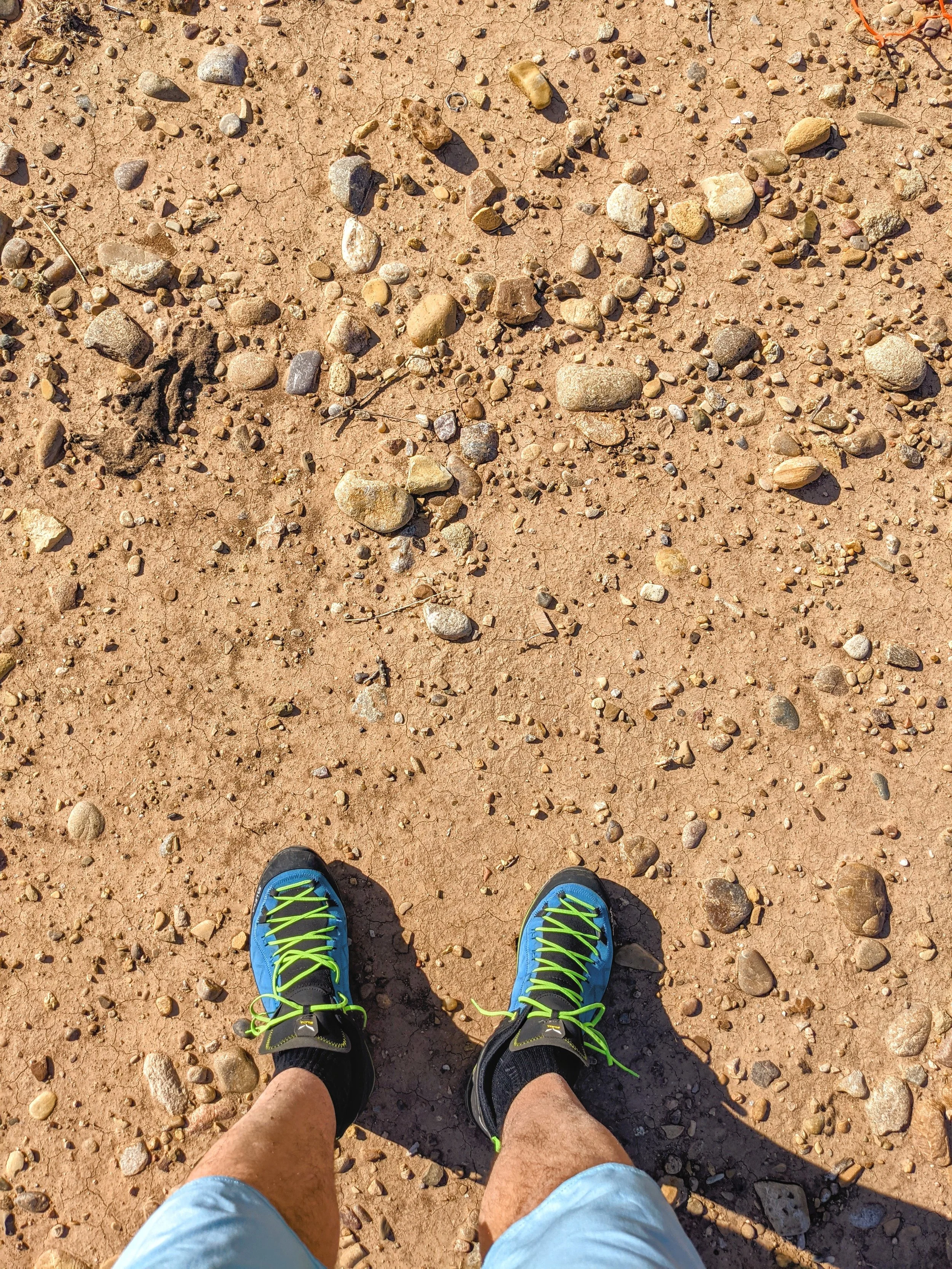 Tale of Two Soles - Geoff Rhodes (36).jpg