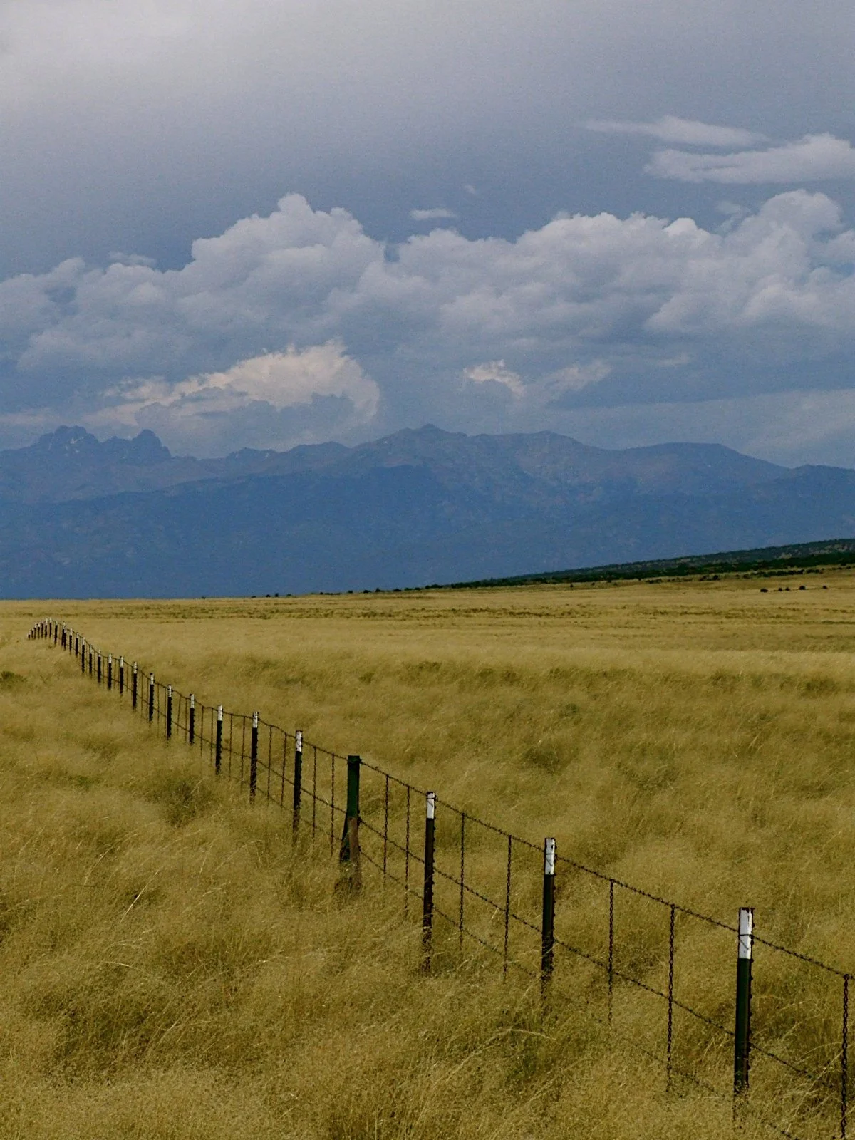 Fence Post Porn - Geoff Rhodes (4).JPG