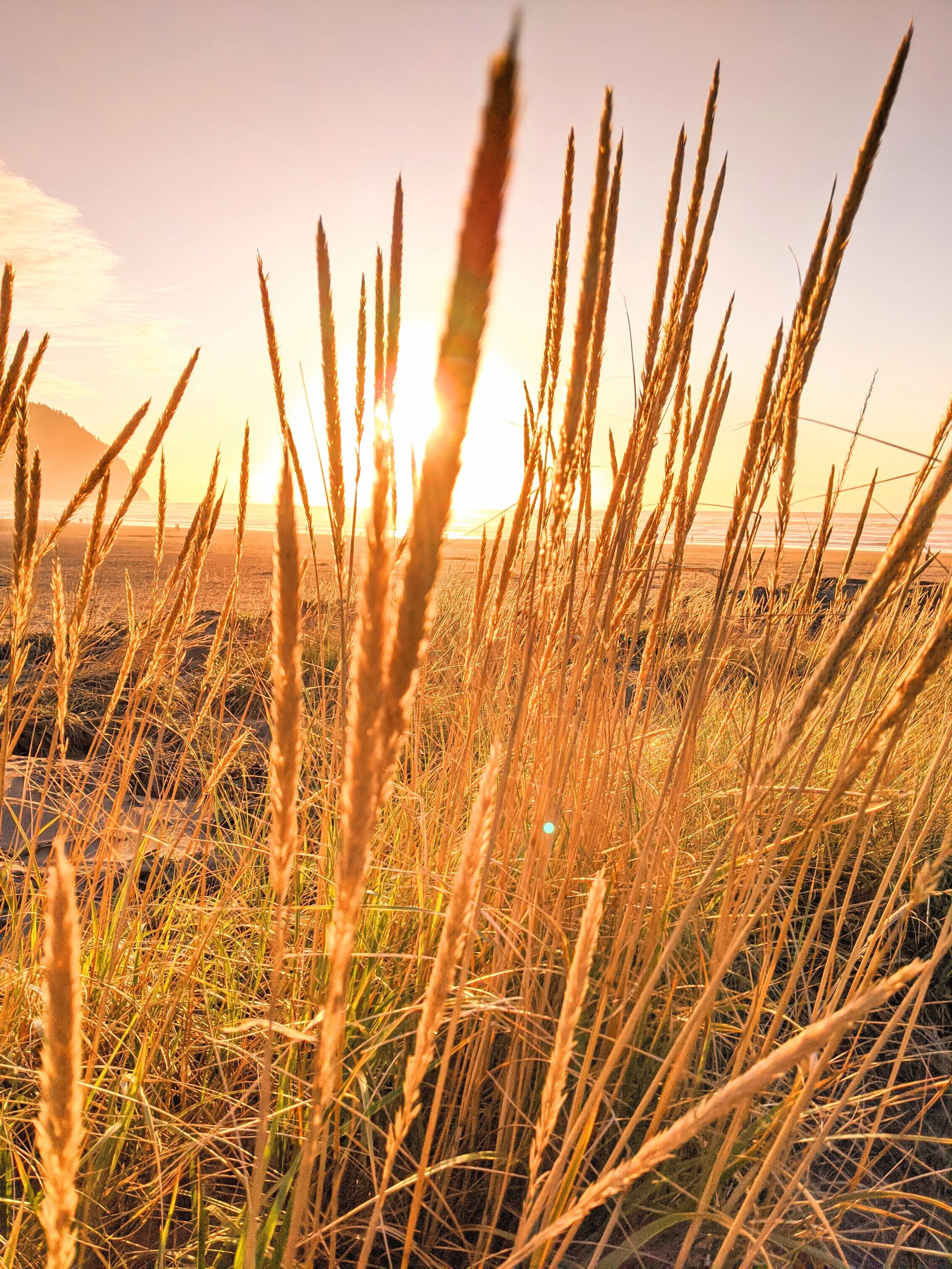 Killer Sunsets - Geoff Rhodes (143).jpg