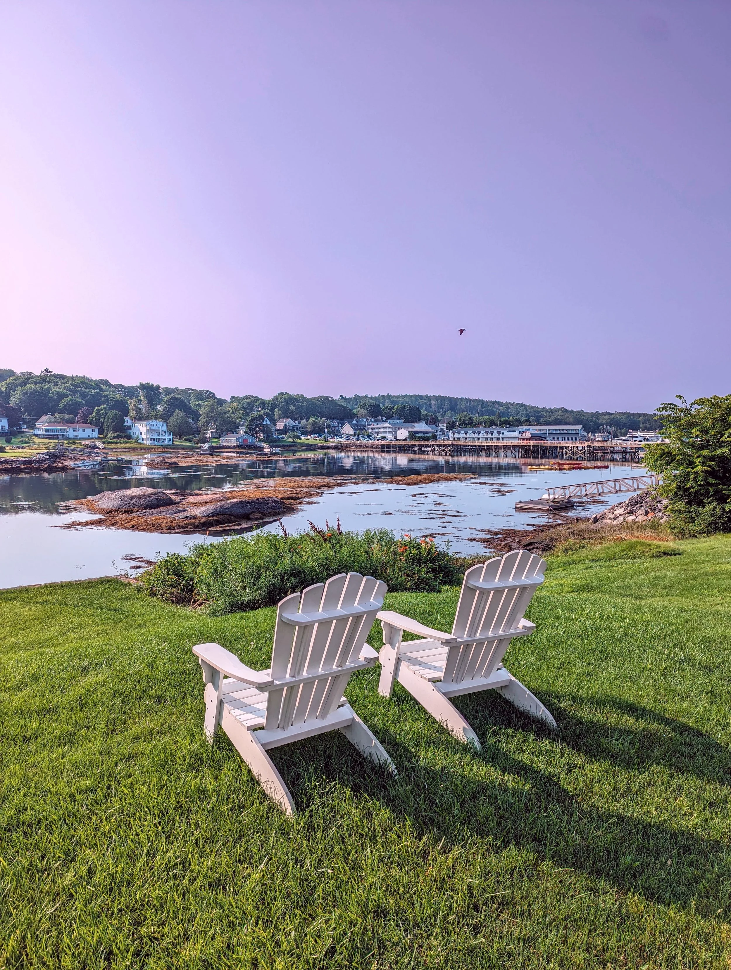 The World Around Me - Geoff Rhodes  (49).jpg