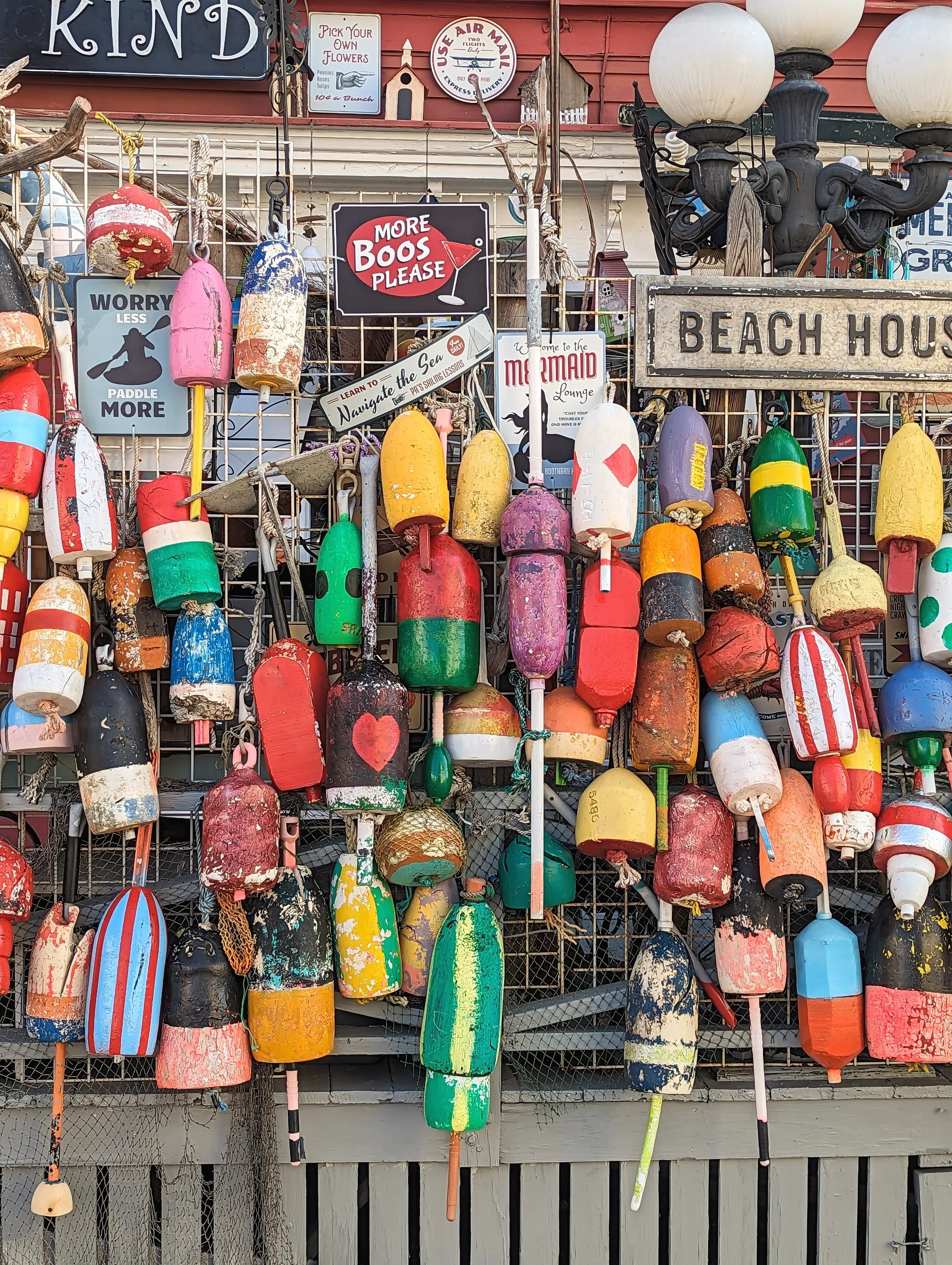 The World Around Me - Geoff Rhodes  (35).jpg