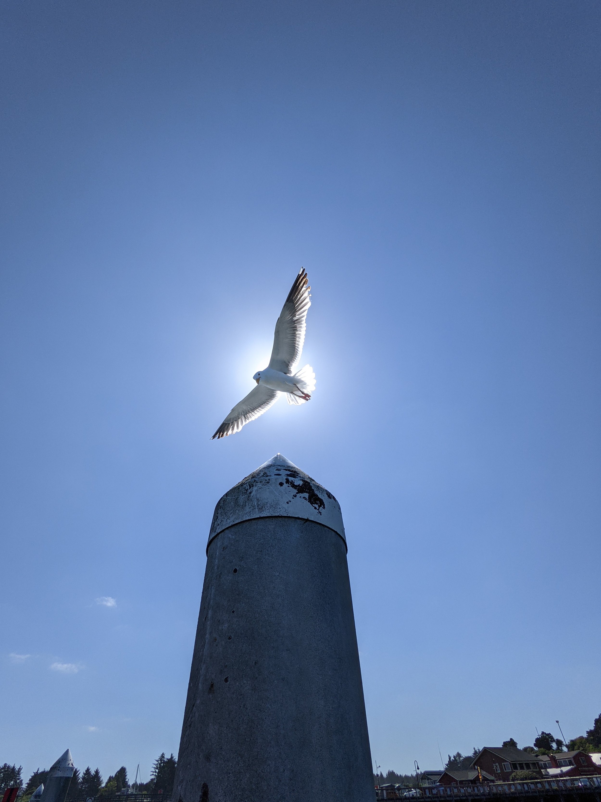 Composition - Geoff Rhodes (46).jpg