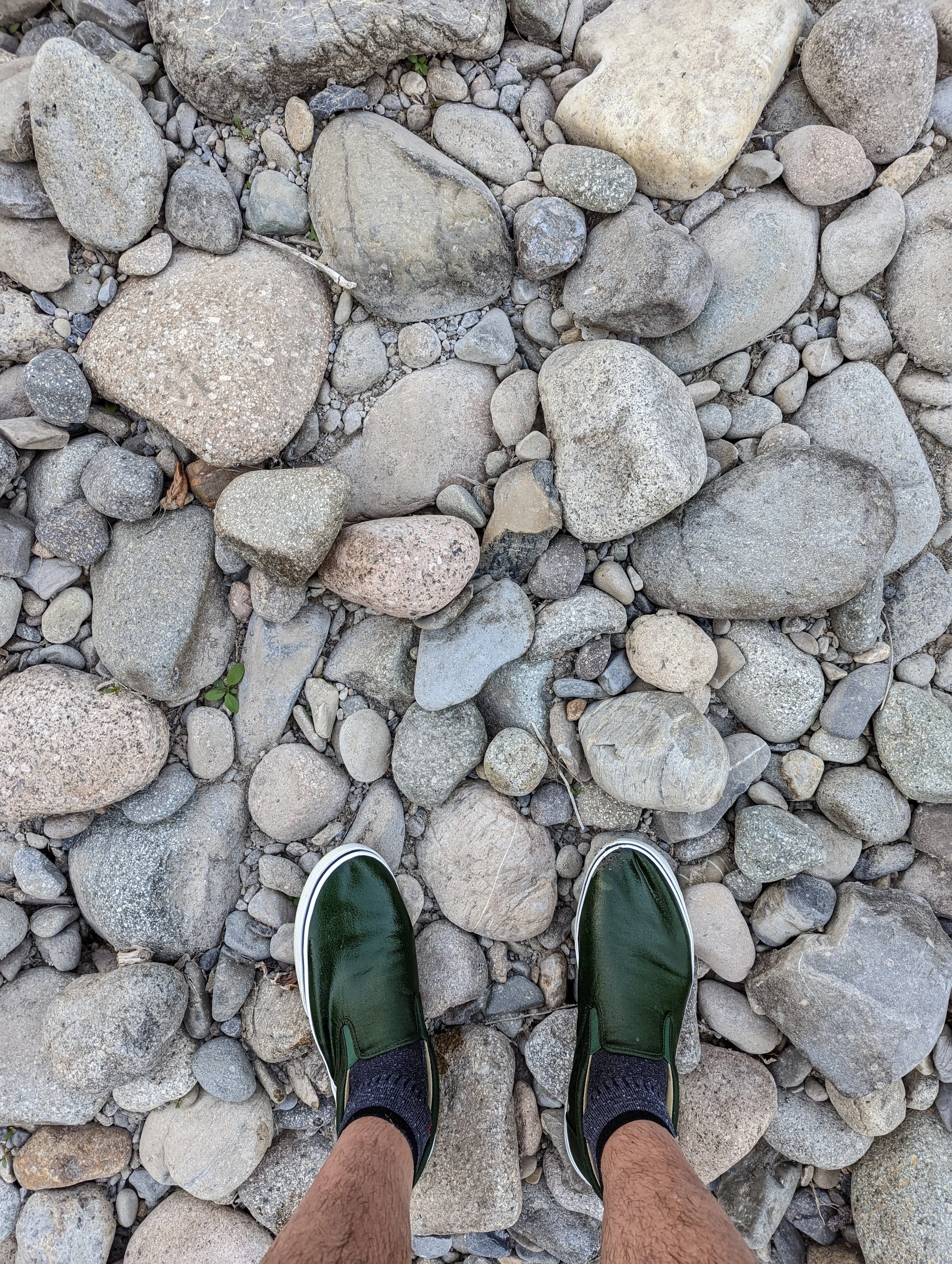 Tale of Two Soles - Geoff Rhodes - 2023 (1).jpg