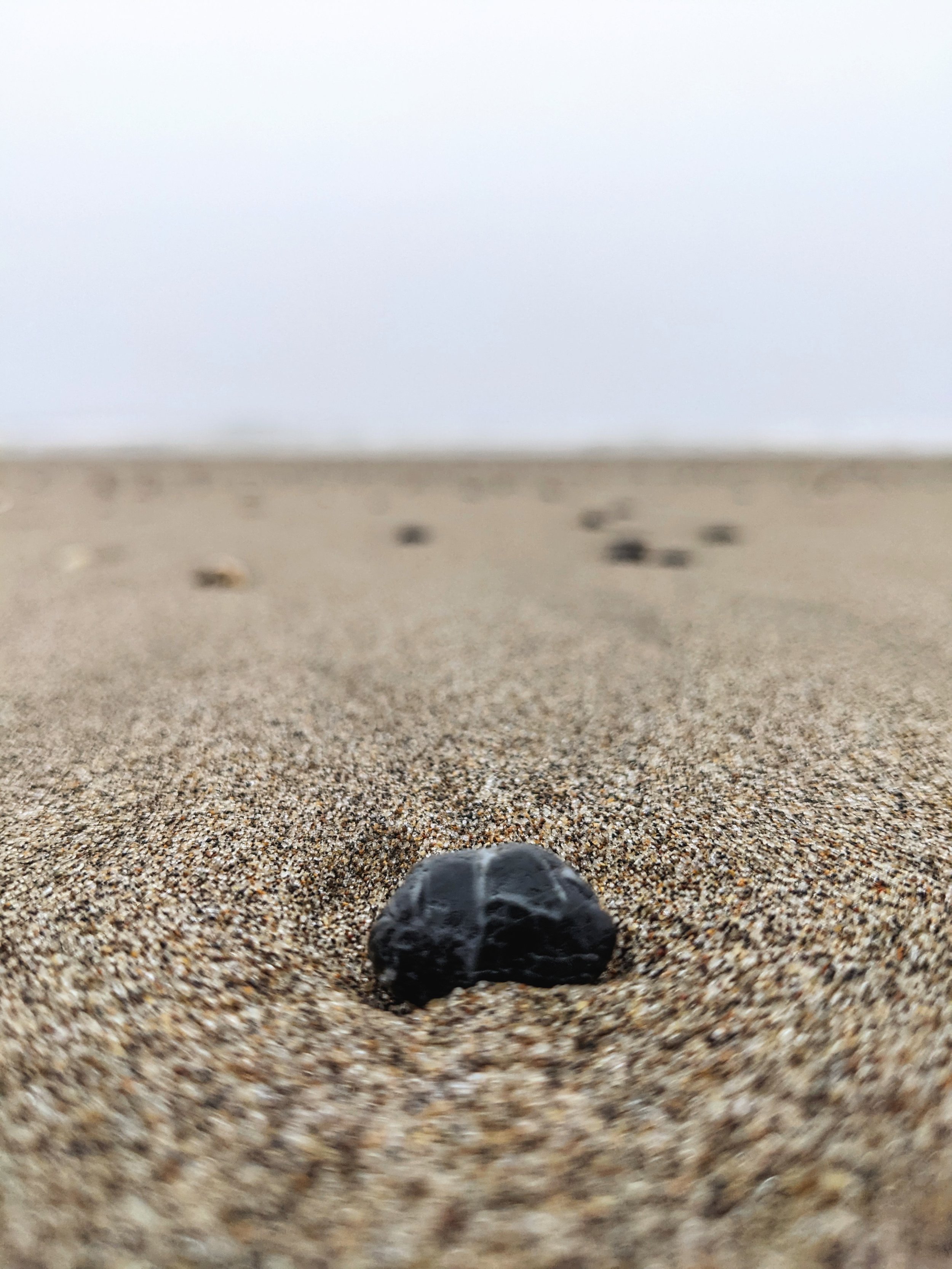 Desert Solitude - Exploration - Geoff Rhodes (14).jpg