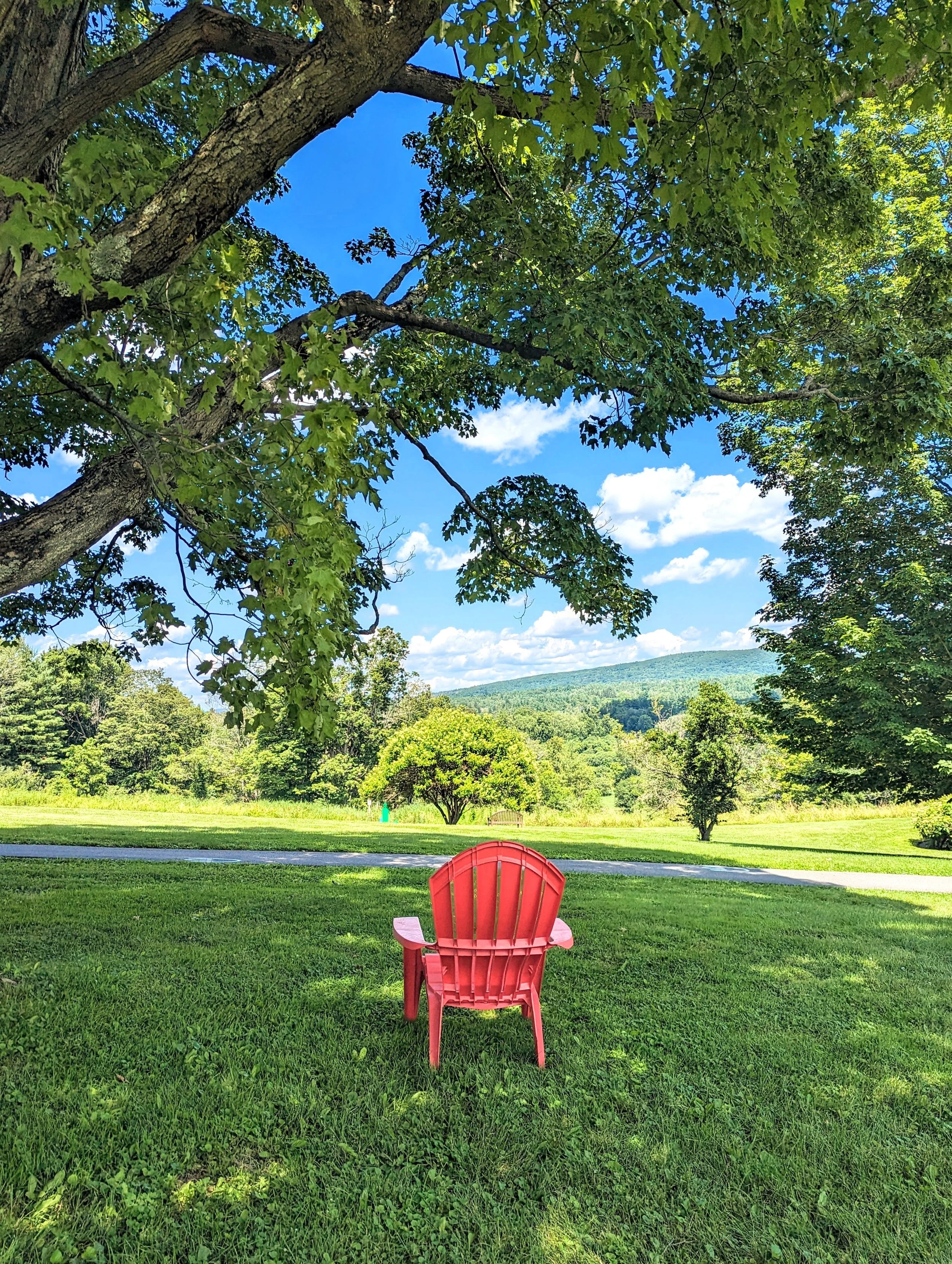 Compositon - Geoff Rhodes - 2023 (1).jpg