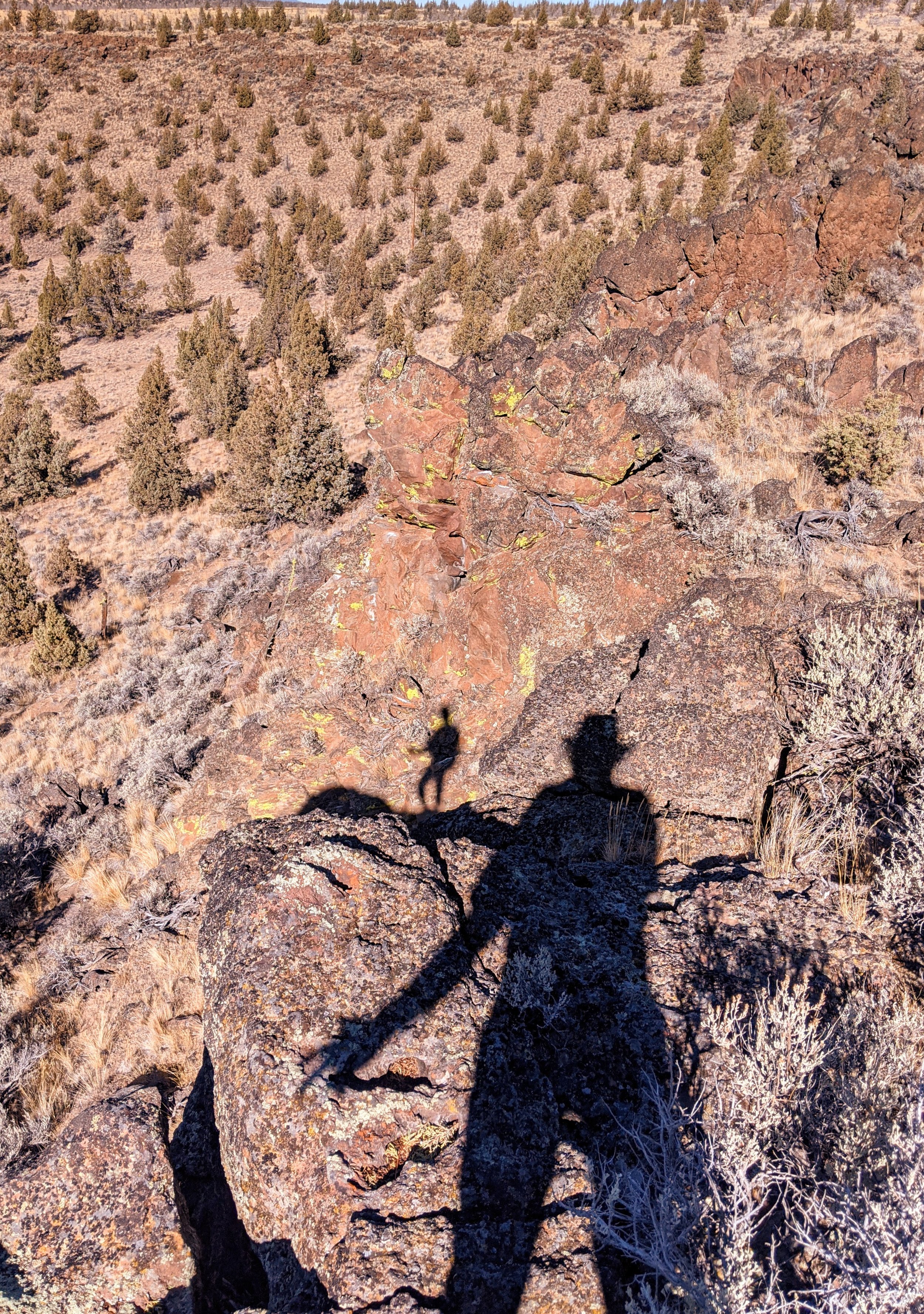 Shadow Games - Geoff Rhodes (42).jpg