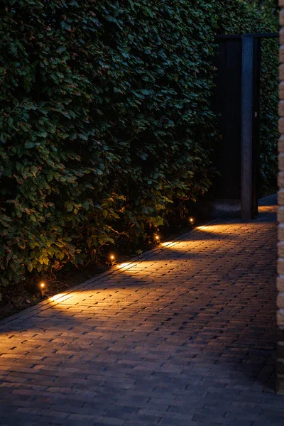 Outdoor pathway with brick pavement illuminated by small ground lights, bordered by dense greenery and a dark gate at the end.