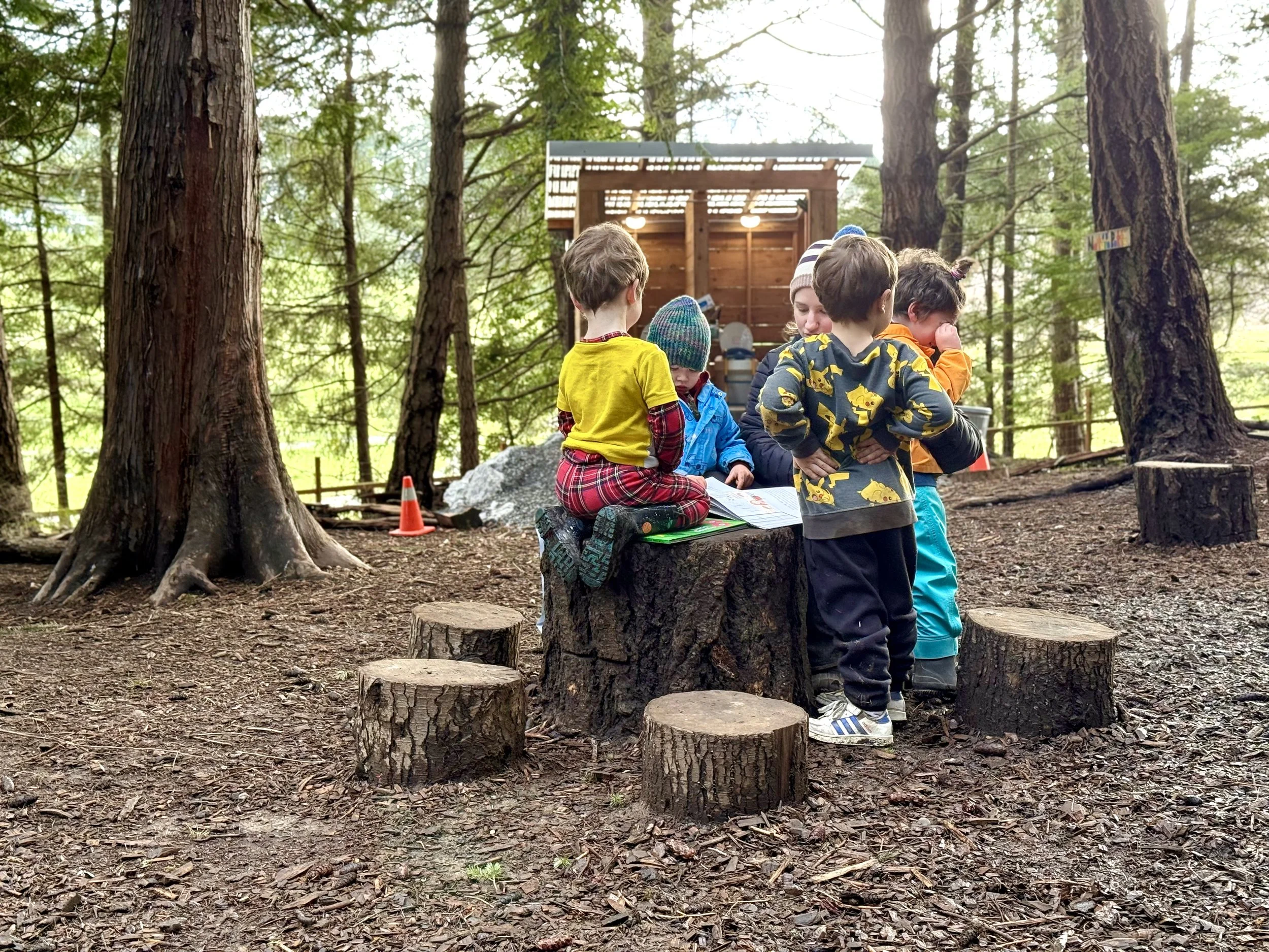 Four children around a stump with a teacher reading to them in the woods