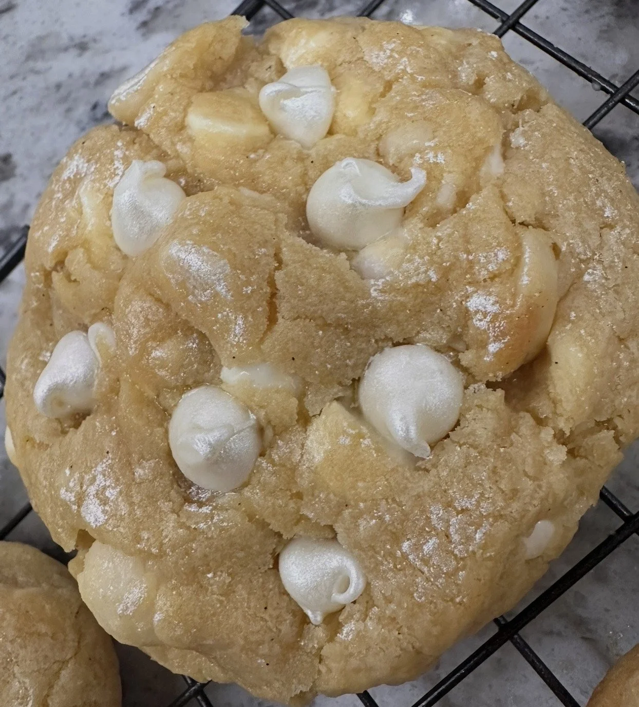 Sparkle Chip Couture - Single